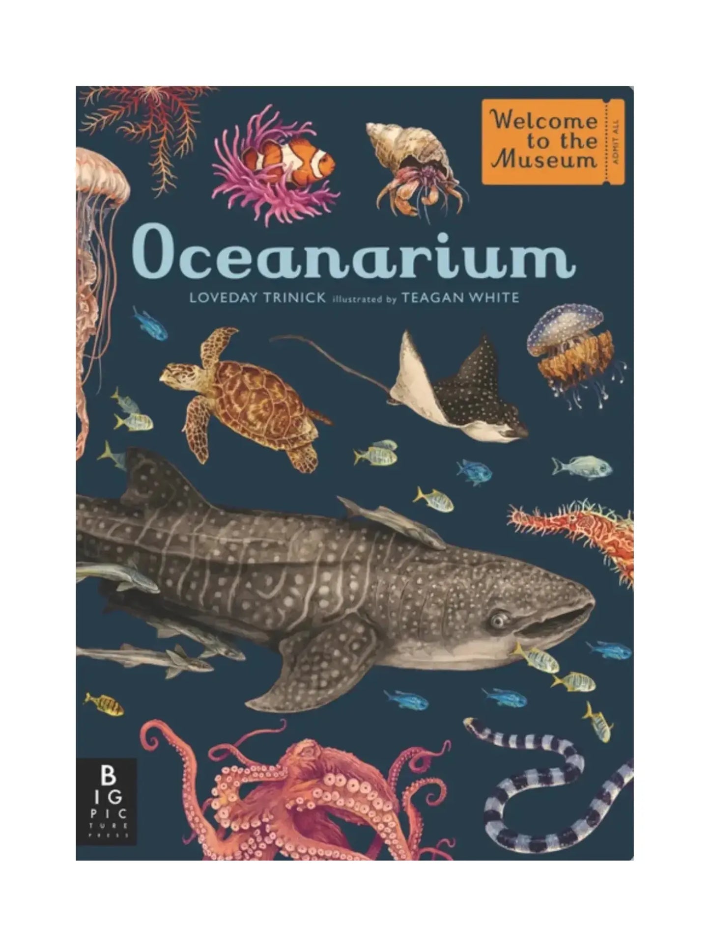 Oceanarium - Welcome to the Museum