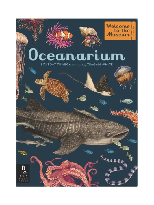 Oceanarium - Welcome to the Museum