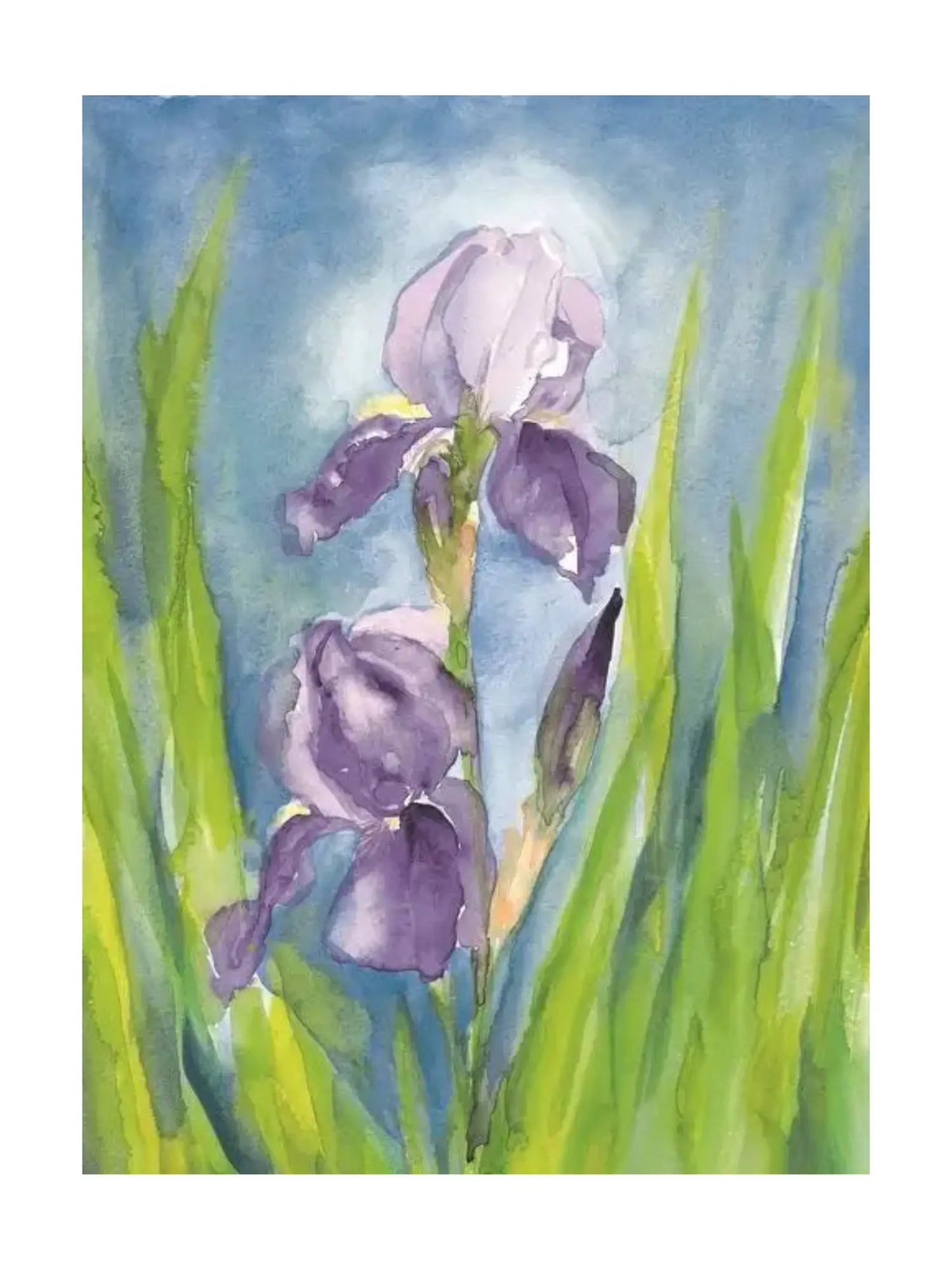 Marjan van Zeyl Floral Card, German Iris - Alder & Alouette