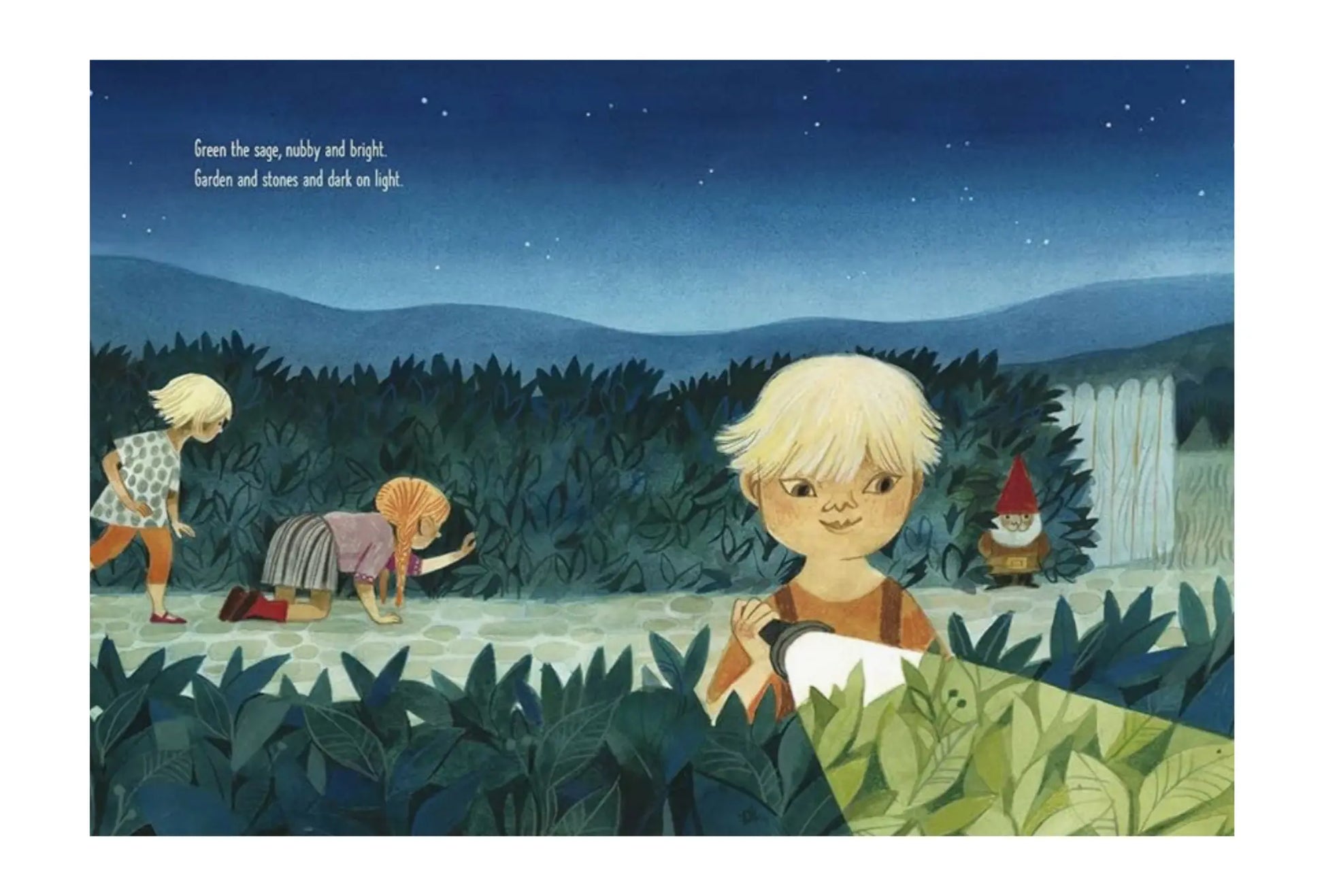 Dark on Light Picture Book about Nighttime Outdoors - Alder & Alouette