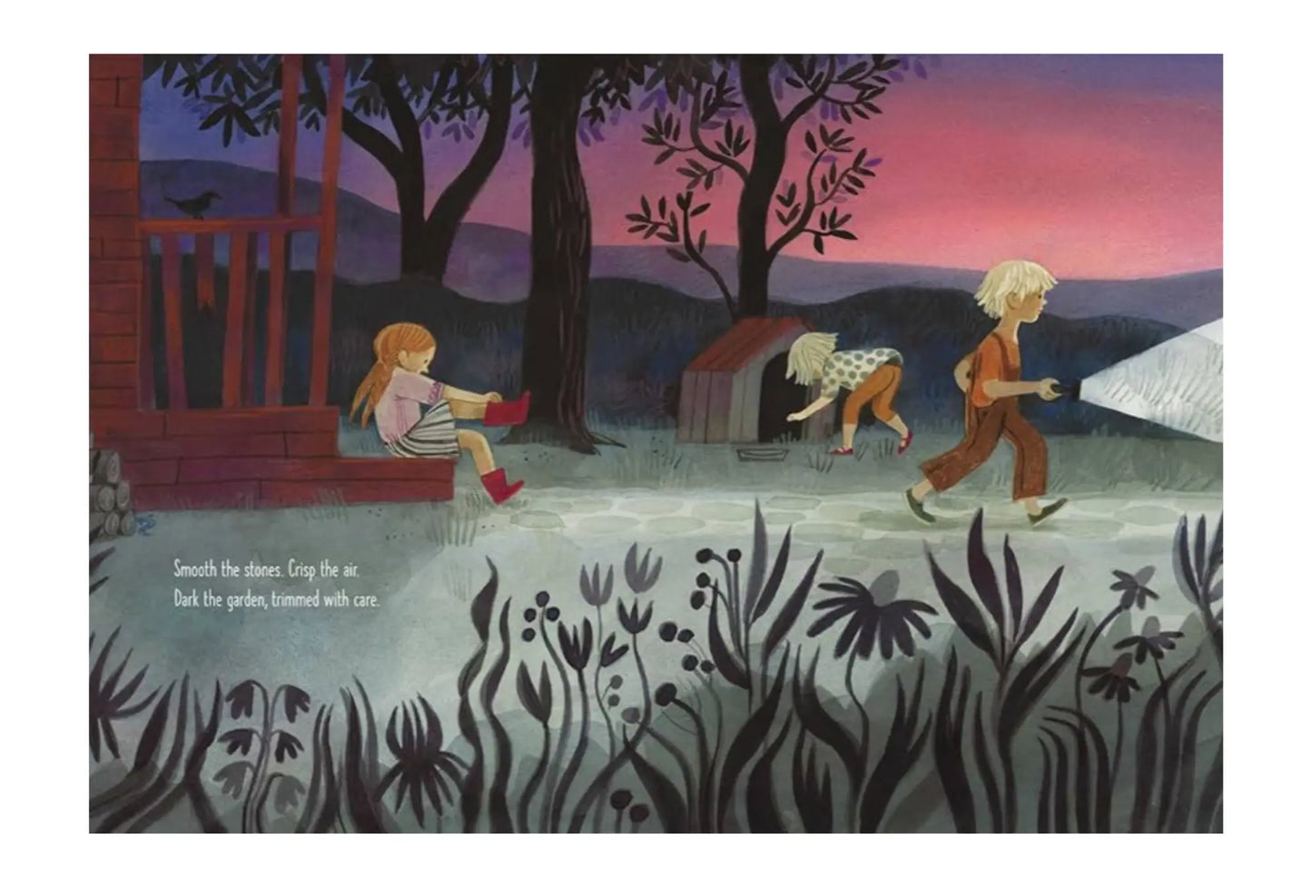 Dark on Light Picture Book about Nighttime Outdoors - Alder & Alouette
