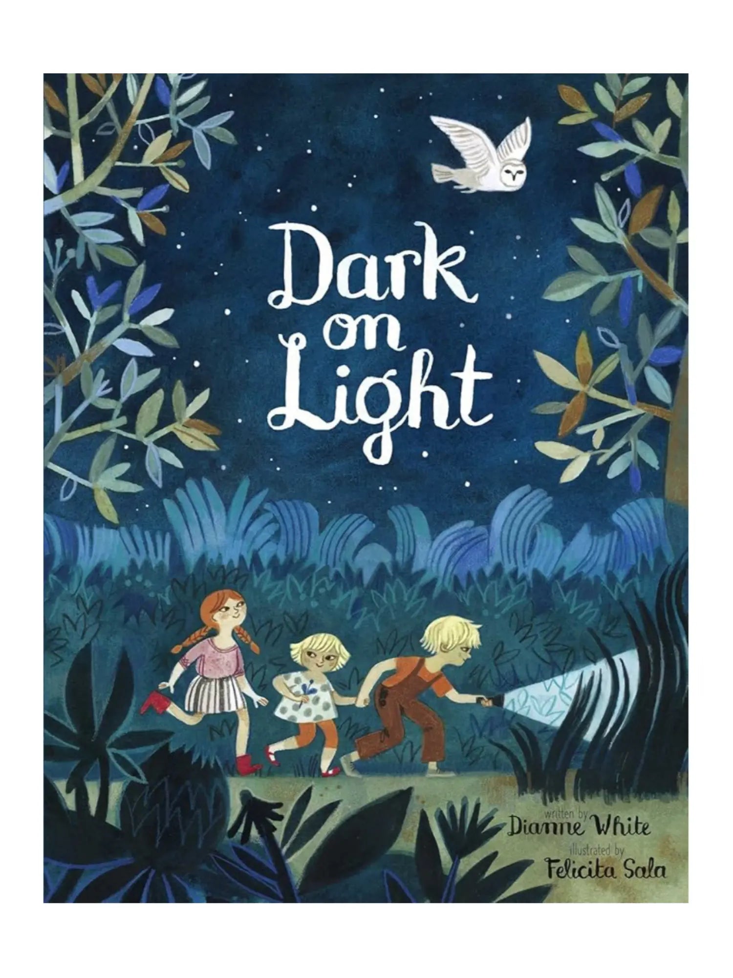 Dark on Light Picture Book about Nighttime Outdoors - Alder & Alouette
