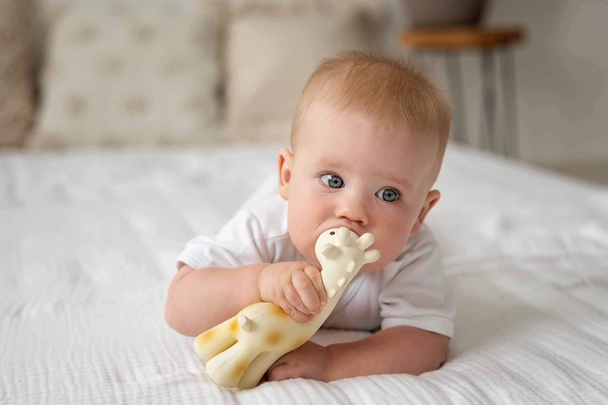 Tikiri Organic Rubber Giraffe from My First Safari 