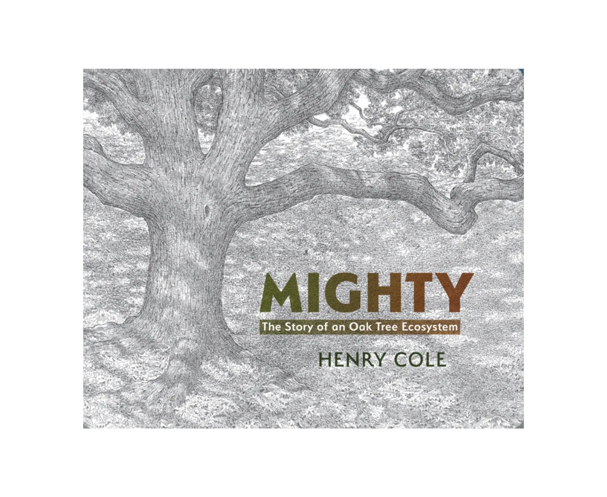 Mighty The Story of an Oak Tree Ecosystem by Henry Cole - Alder & Alouette