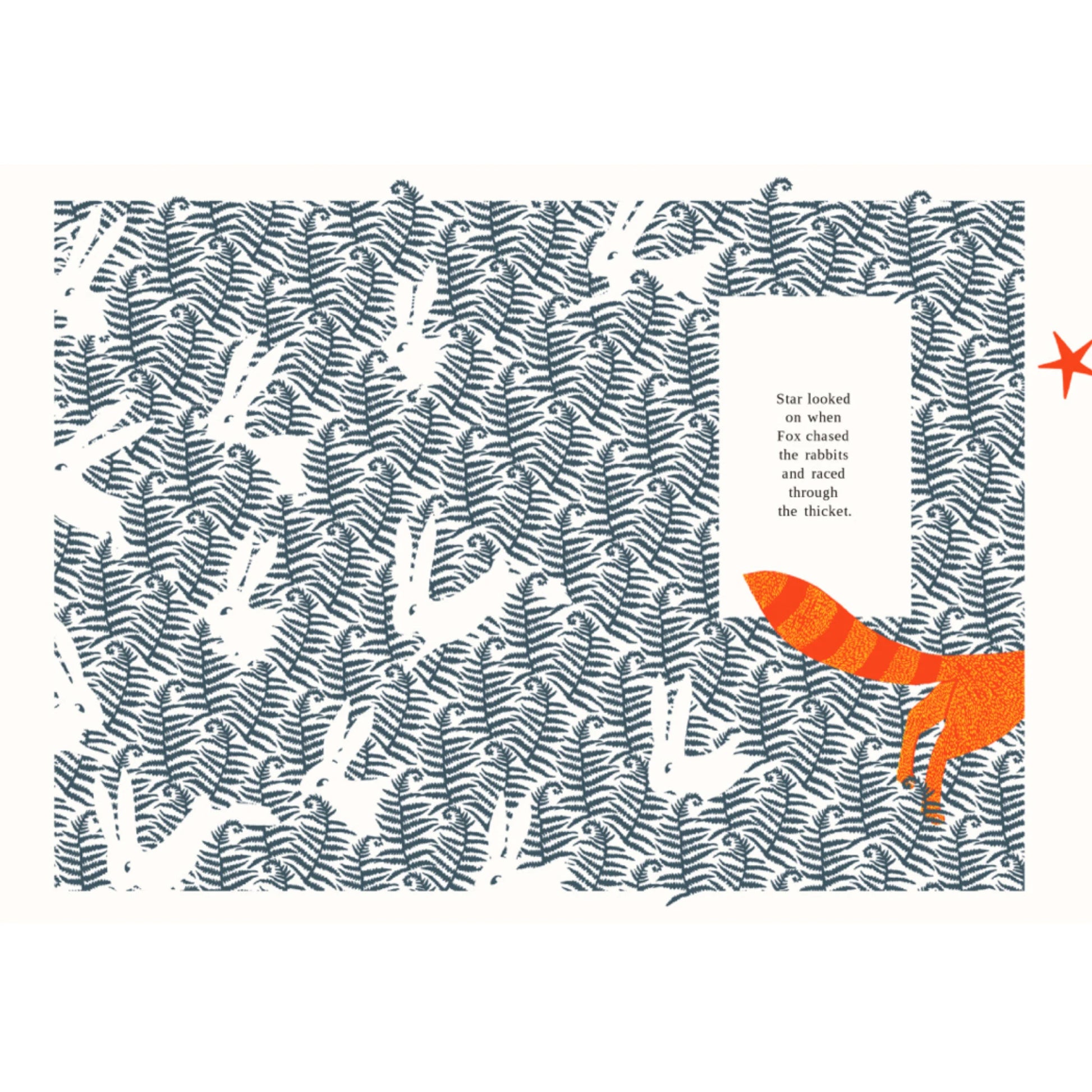 The Fox and the Star by Coralie Bickford-Smith - Alder & Alouette