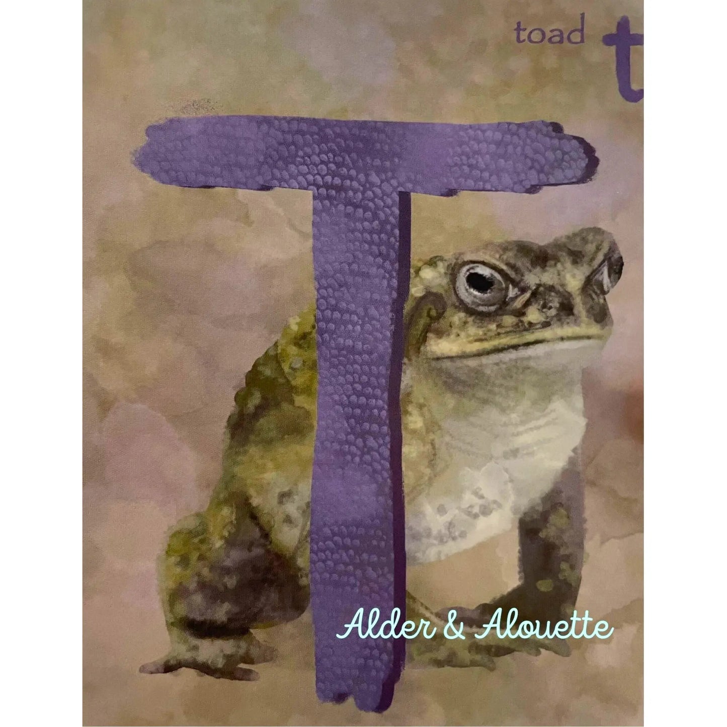 Gorgeous ABC Alphabet Cards in Watercolors - Alder & Alouette