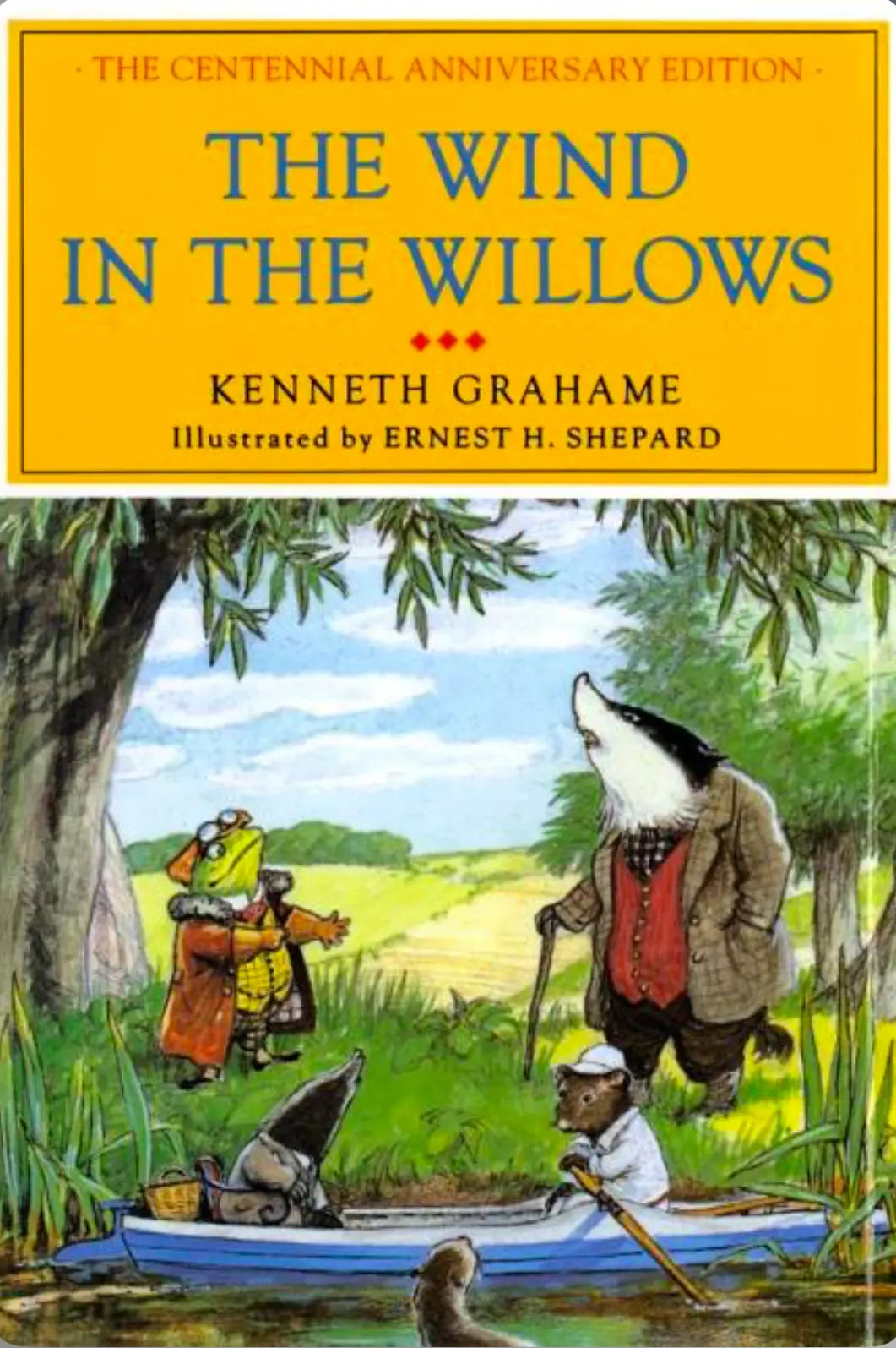 The Wind in the Willows Illustrated Version Hardcover Illustrated book cover