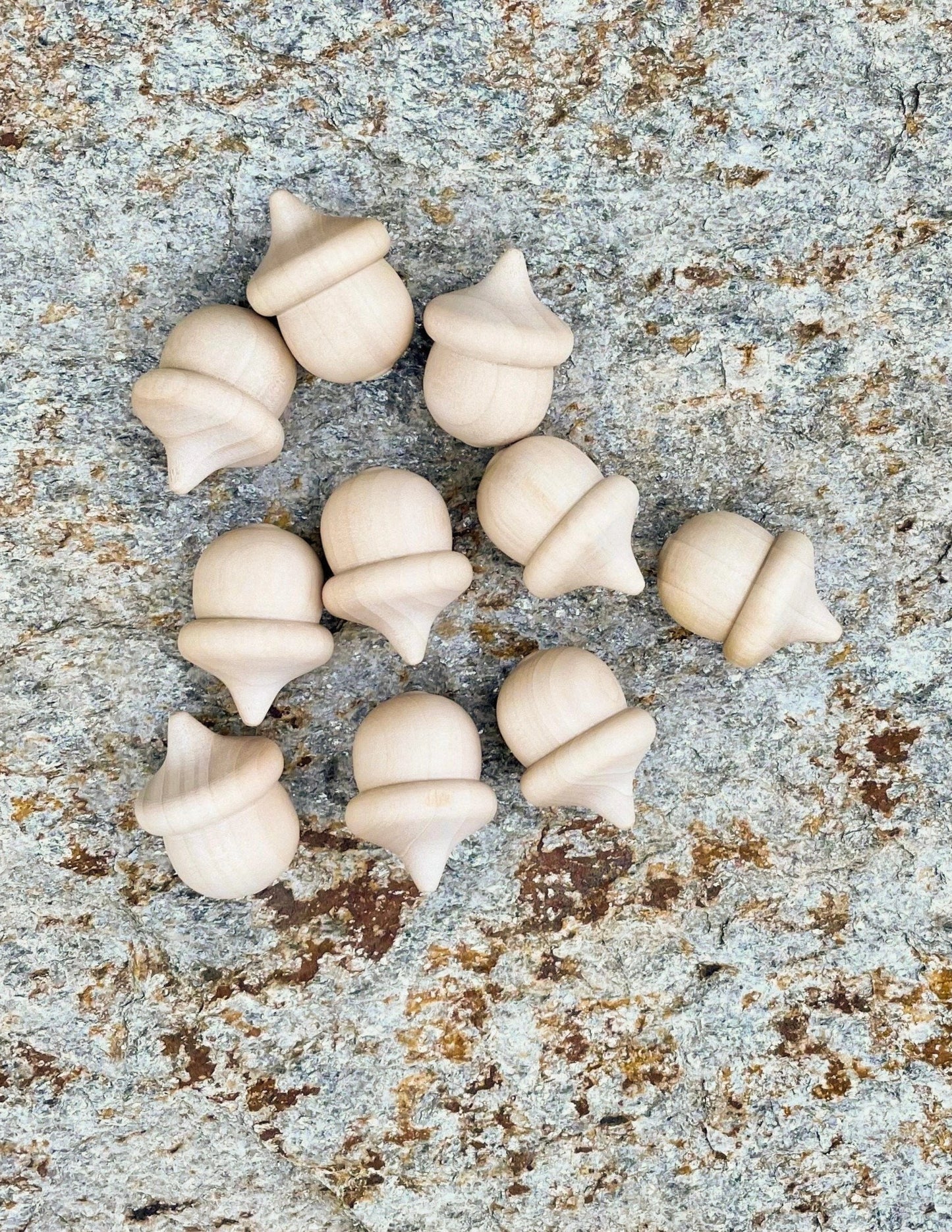 Wooden Acorns - Sensory Bin or Counting & Sorting - Alder & Alouette