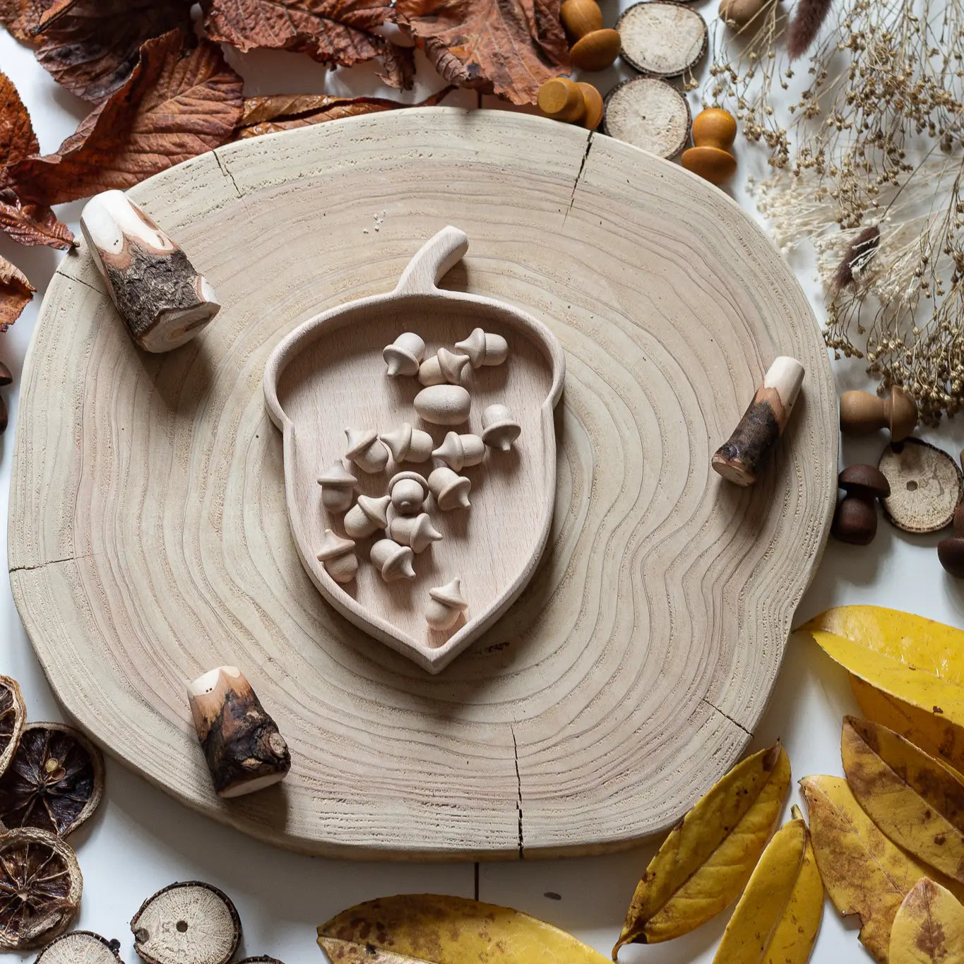 Acorn Sorting Tray - Alder & Alouette