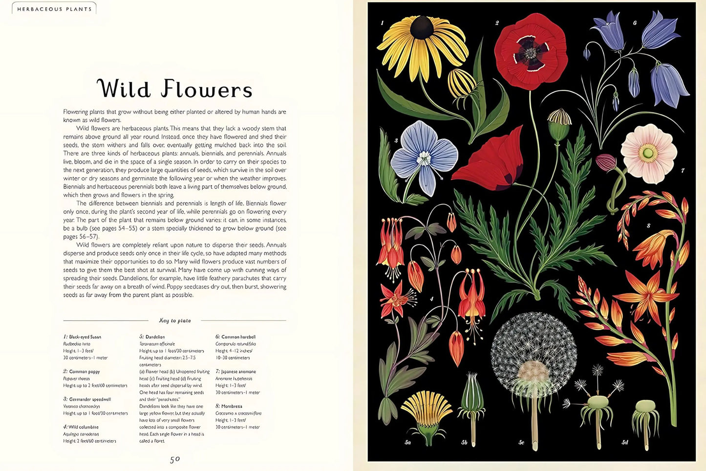 Botanicum - Beautiful Reference and Nonfiction Book - Alder & Alouette