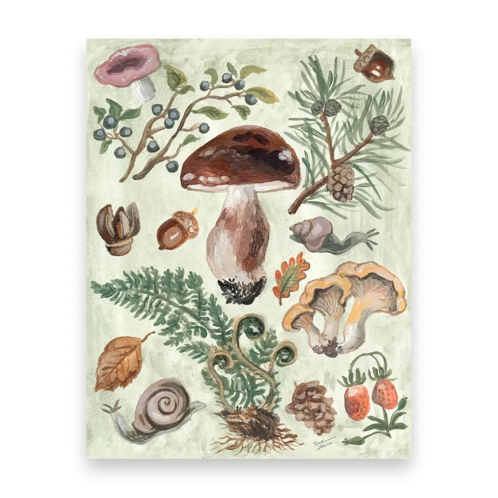 Postcard with illustrations of mushrooms, plants, and nature elements on a light green background.