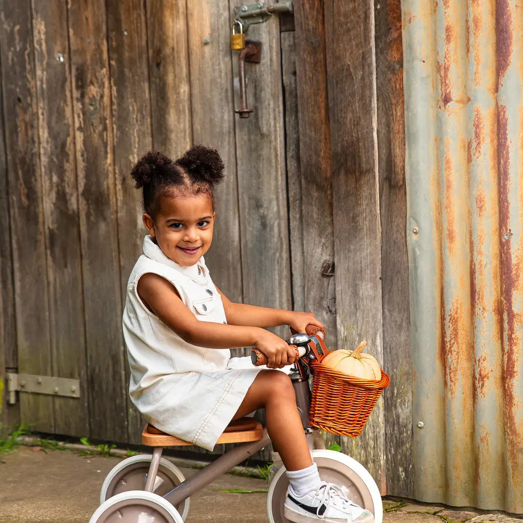Young girl sitting on a tricycle with a basket against a rustic wooden wall.
