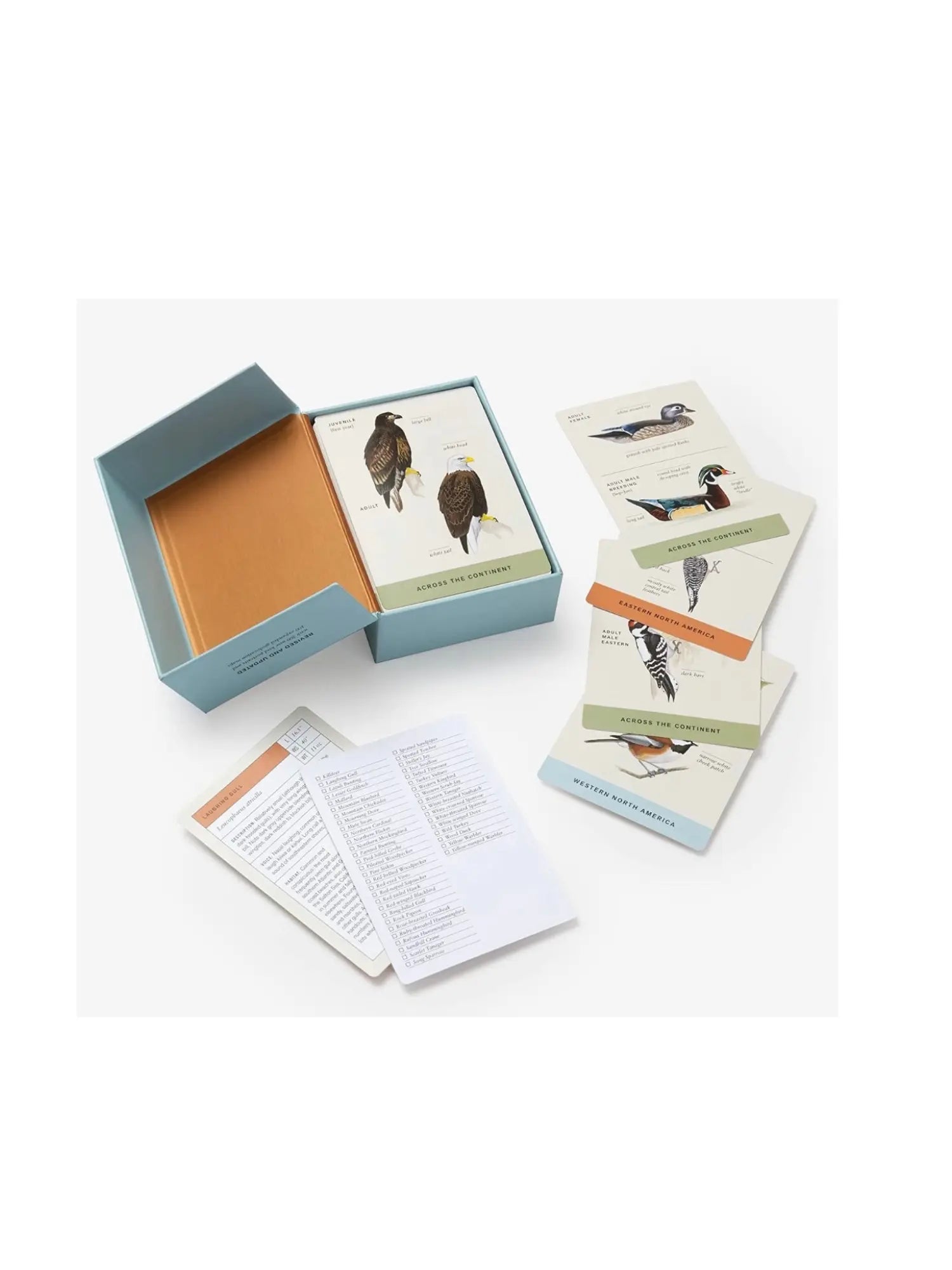 Sibley Backyard Birding Flashcards - Alder & Alouette