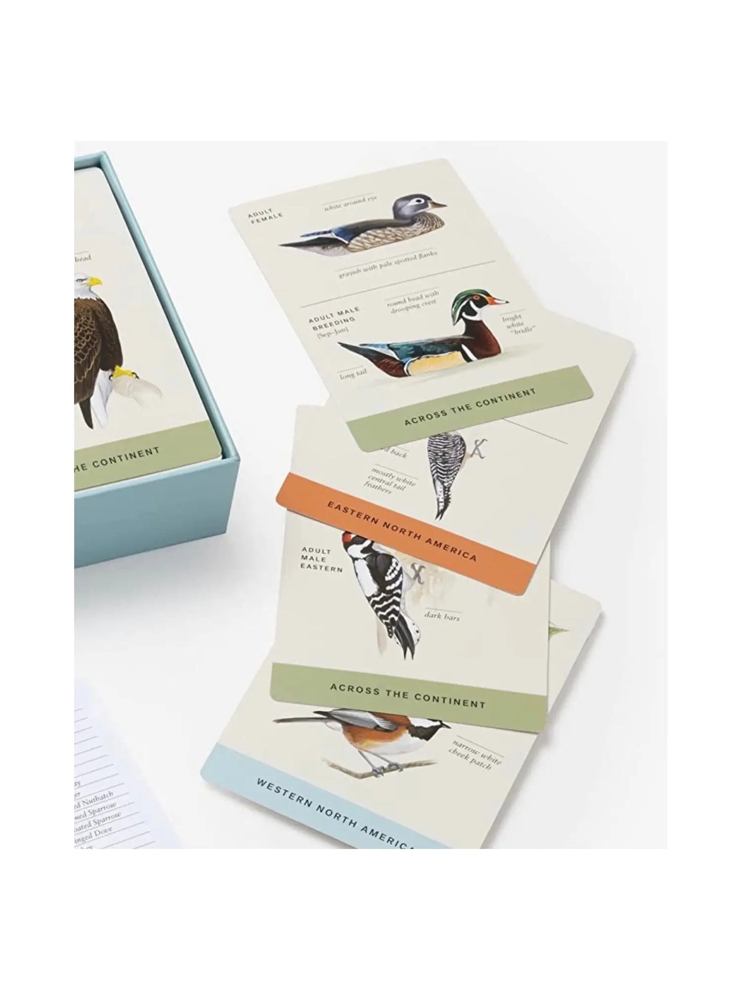 Sibley Backyard Birding Flashcards - Alder & Alouette