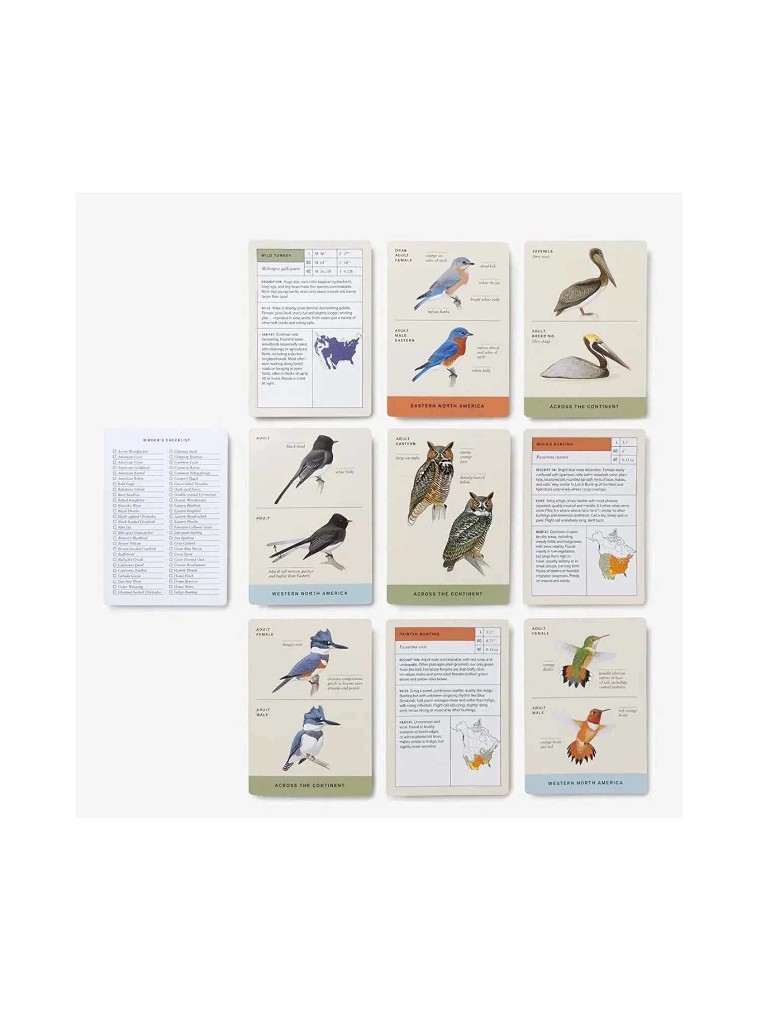 Sibley Backyard Birding Flashcards - Alder & Alouette