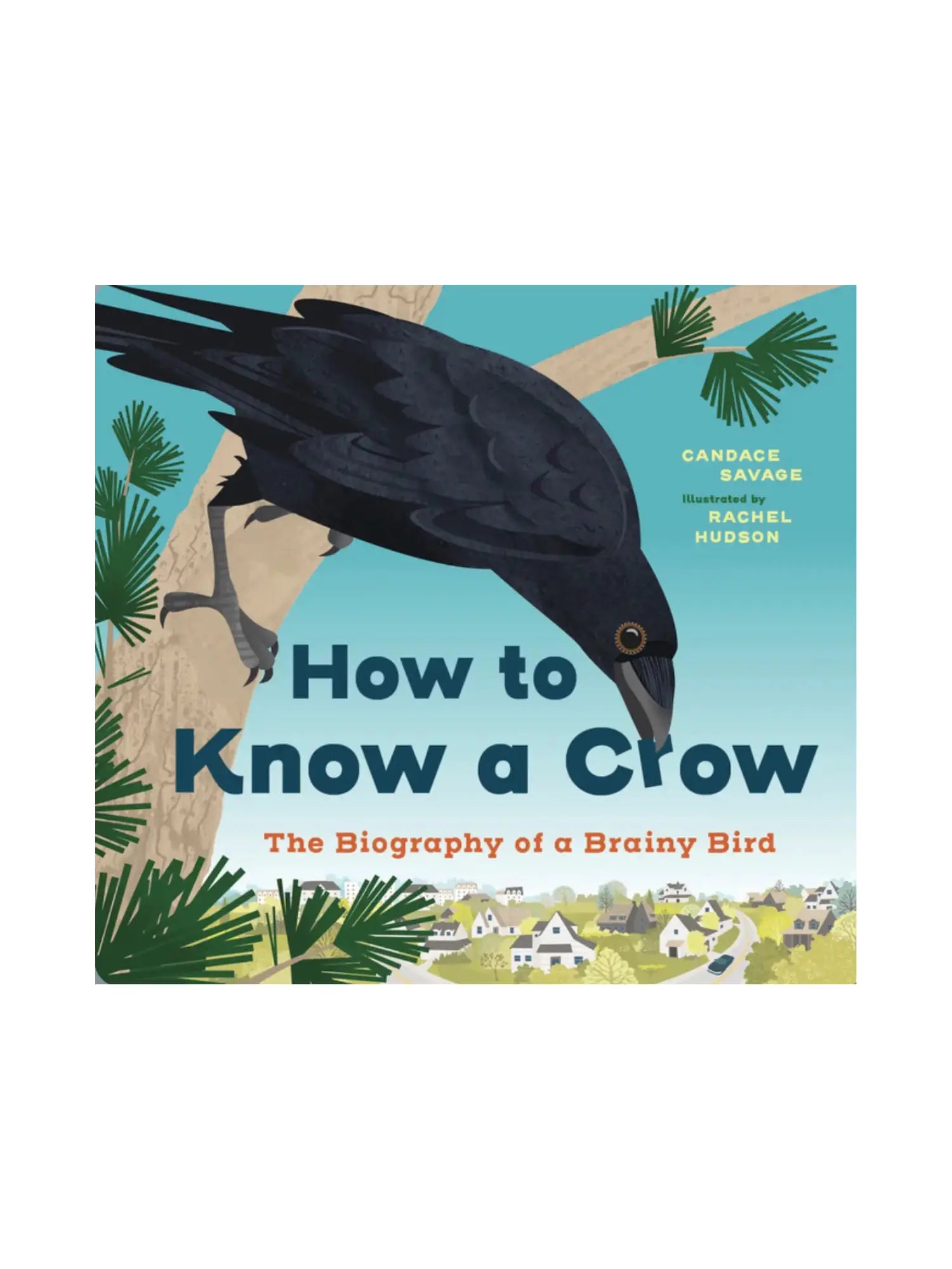 How to Know a Crow - Science Book for Kids - Alder & Alouette