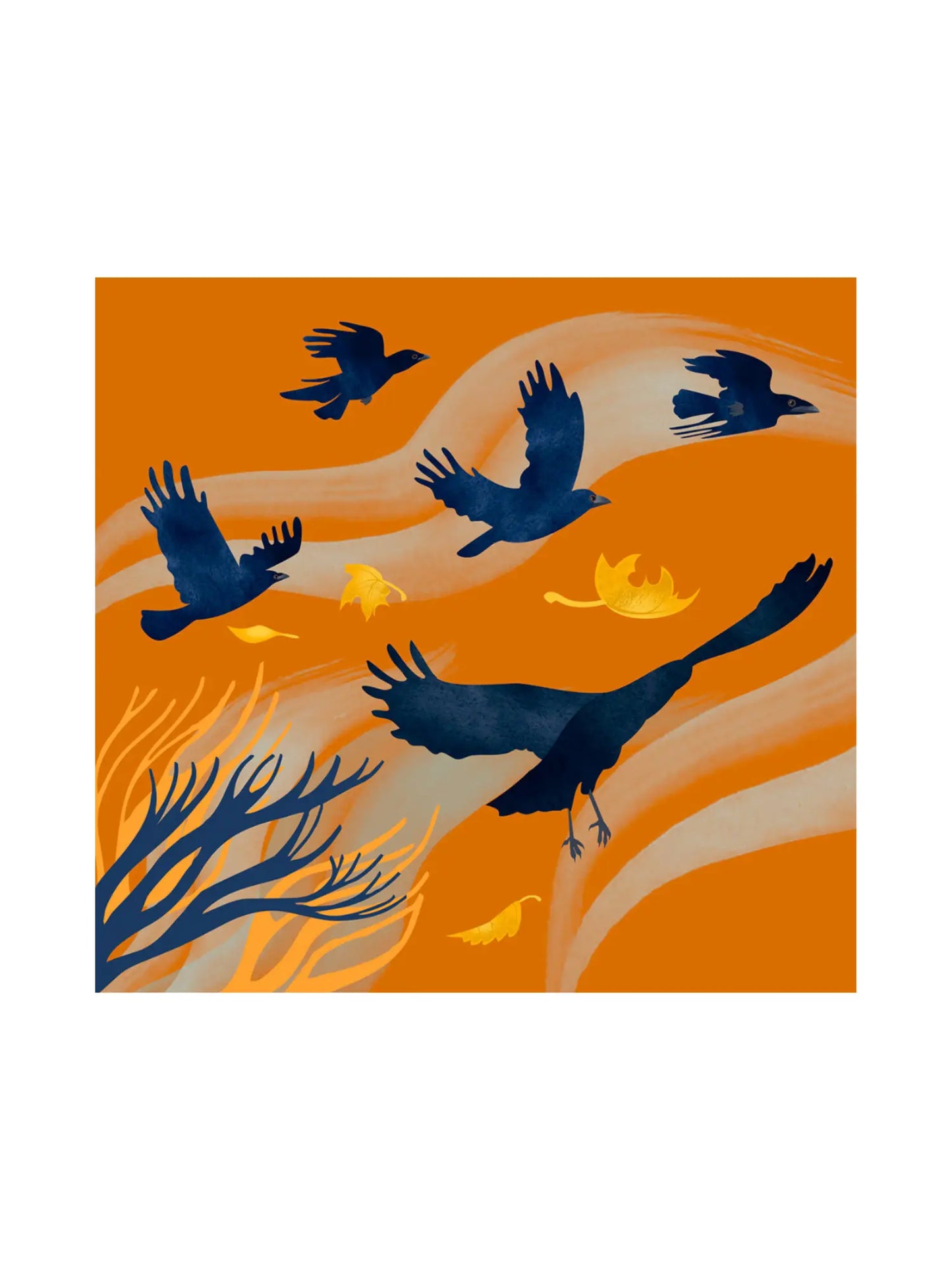 How to Know a Crow - Science Book for Kids - Alder & Alouette