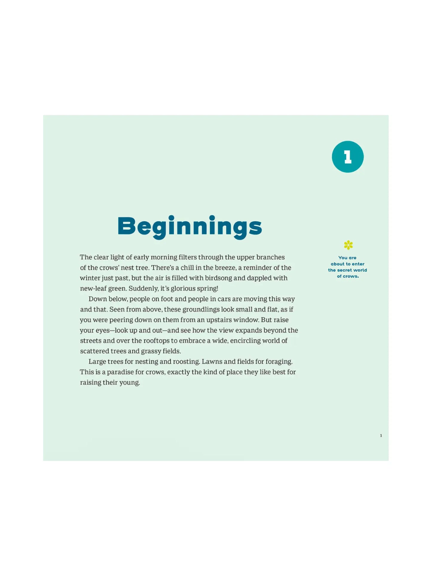 How to Know a Crow - Science Book for Kids - Alder & Alouette