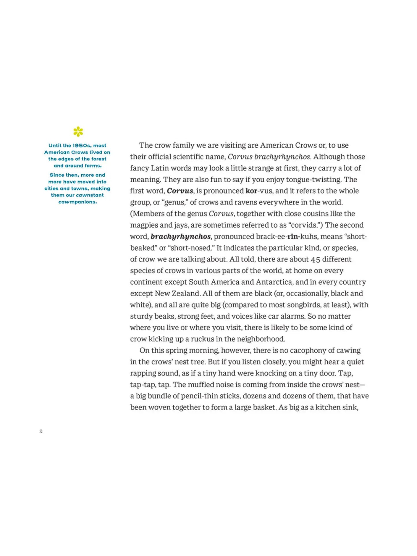 How to Know a Crow - Science Book for Kids - Alder & Alouette