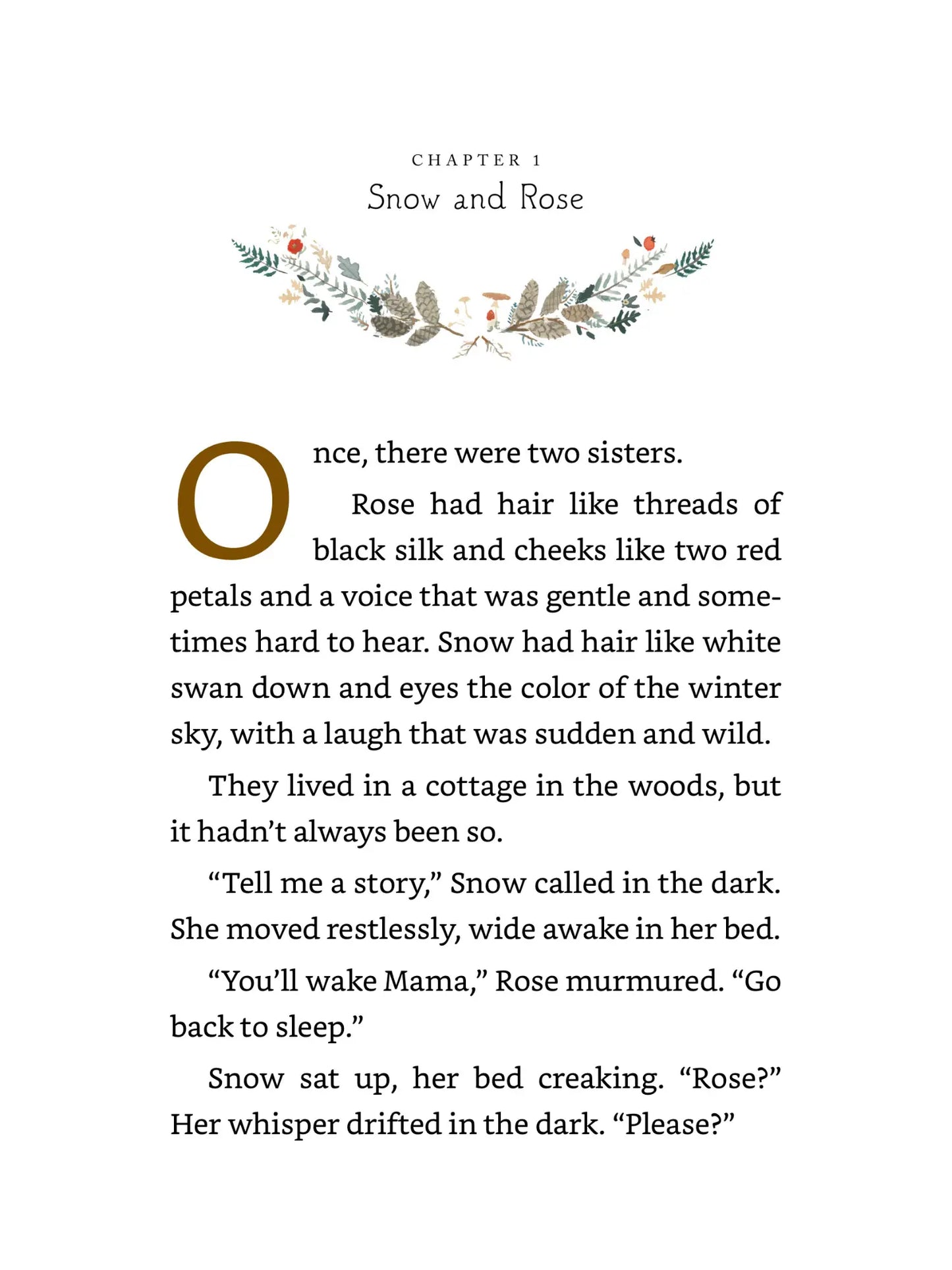 Snow & Rose by Emily Winfield Martin | Middle Grade Fiction - Alder & Alouette