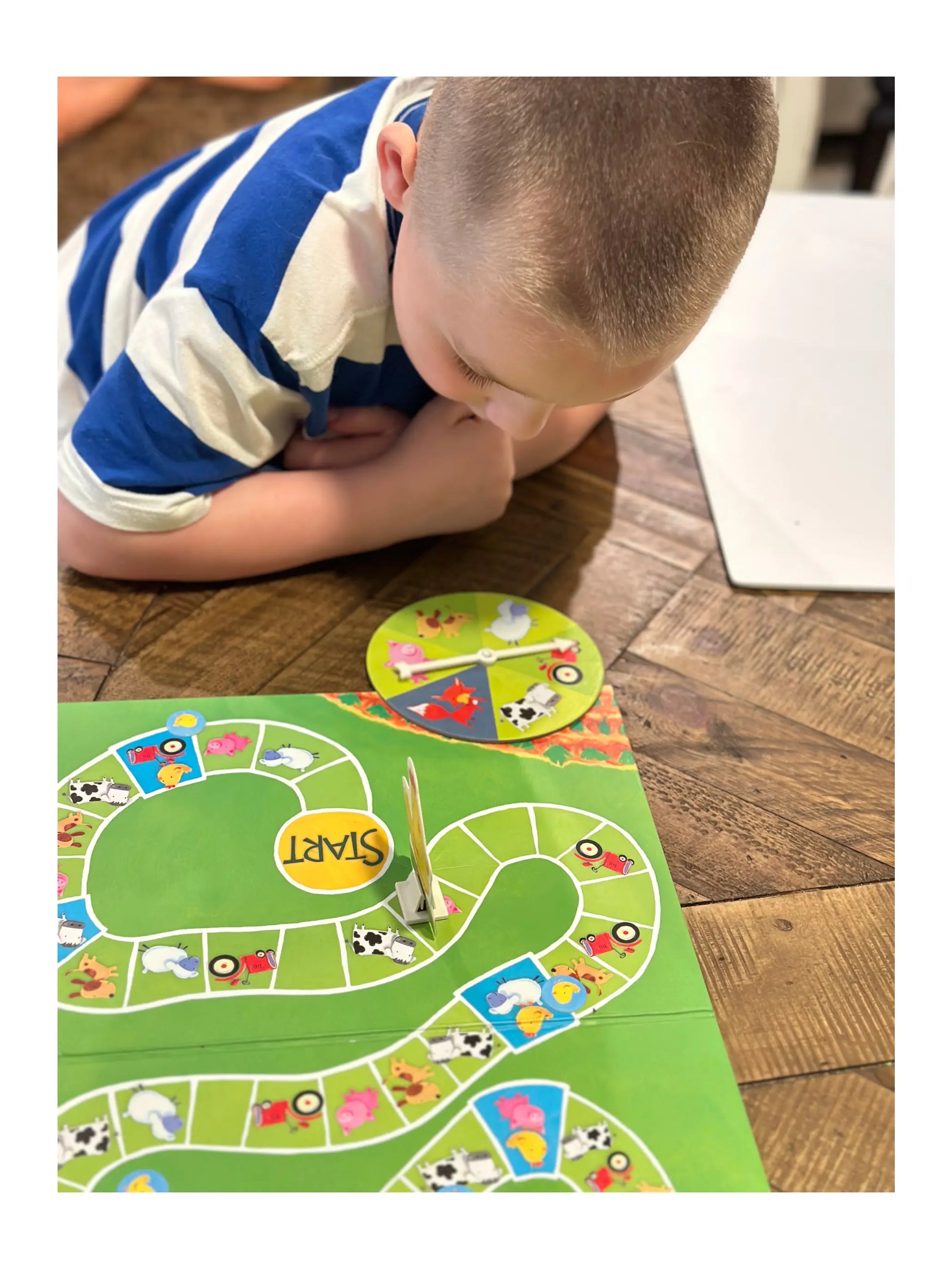 Count Your Chickens | Cooperative Game - Alder & Alouette