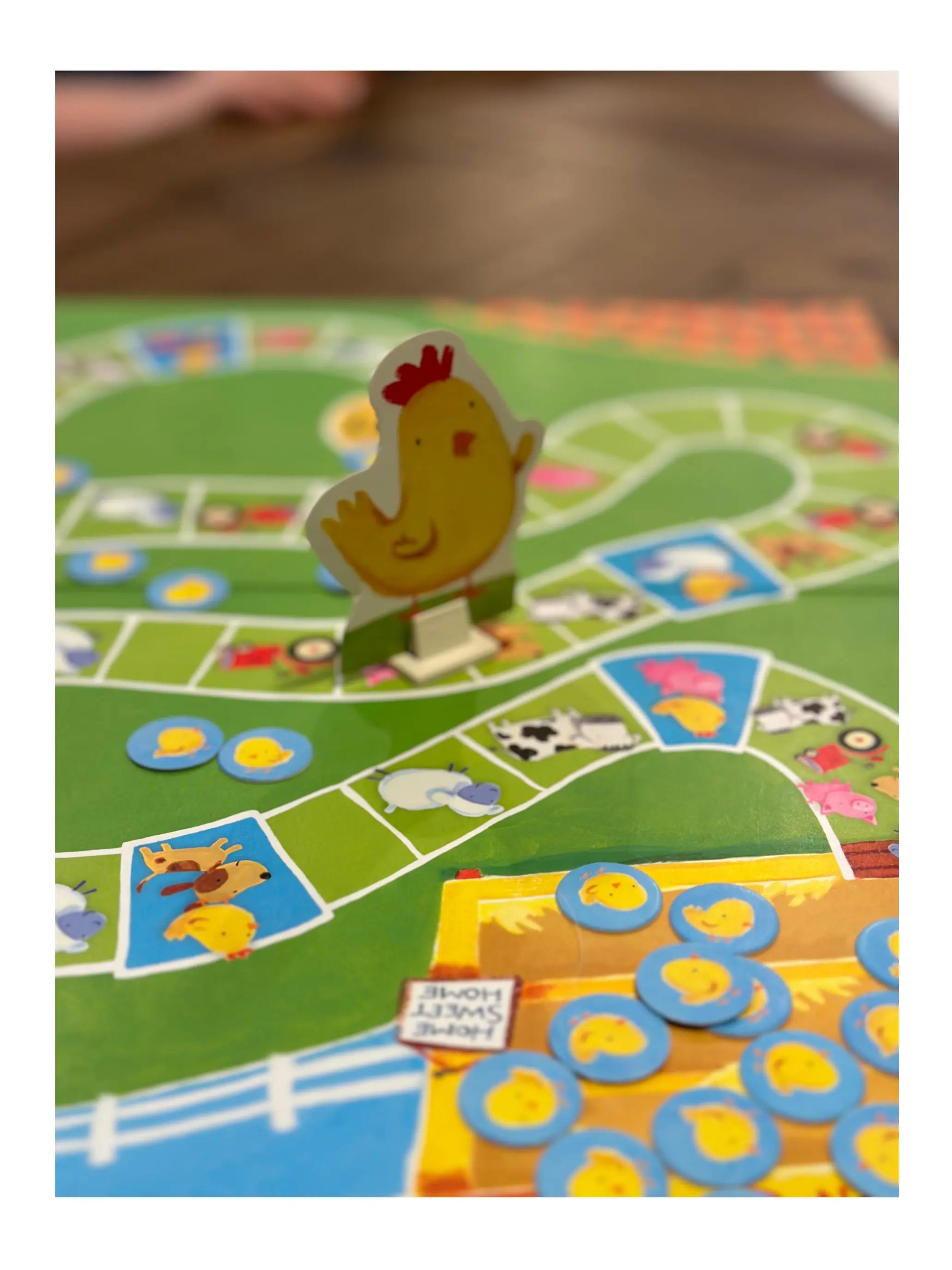 Count Your Chickens | Cooperative Game - Alder & Alouette