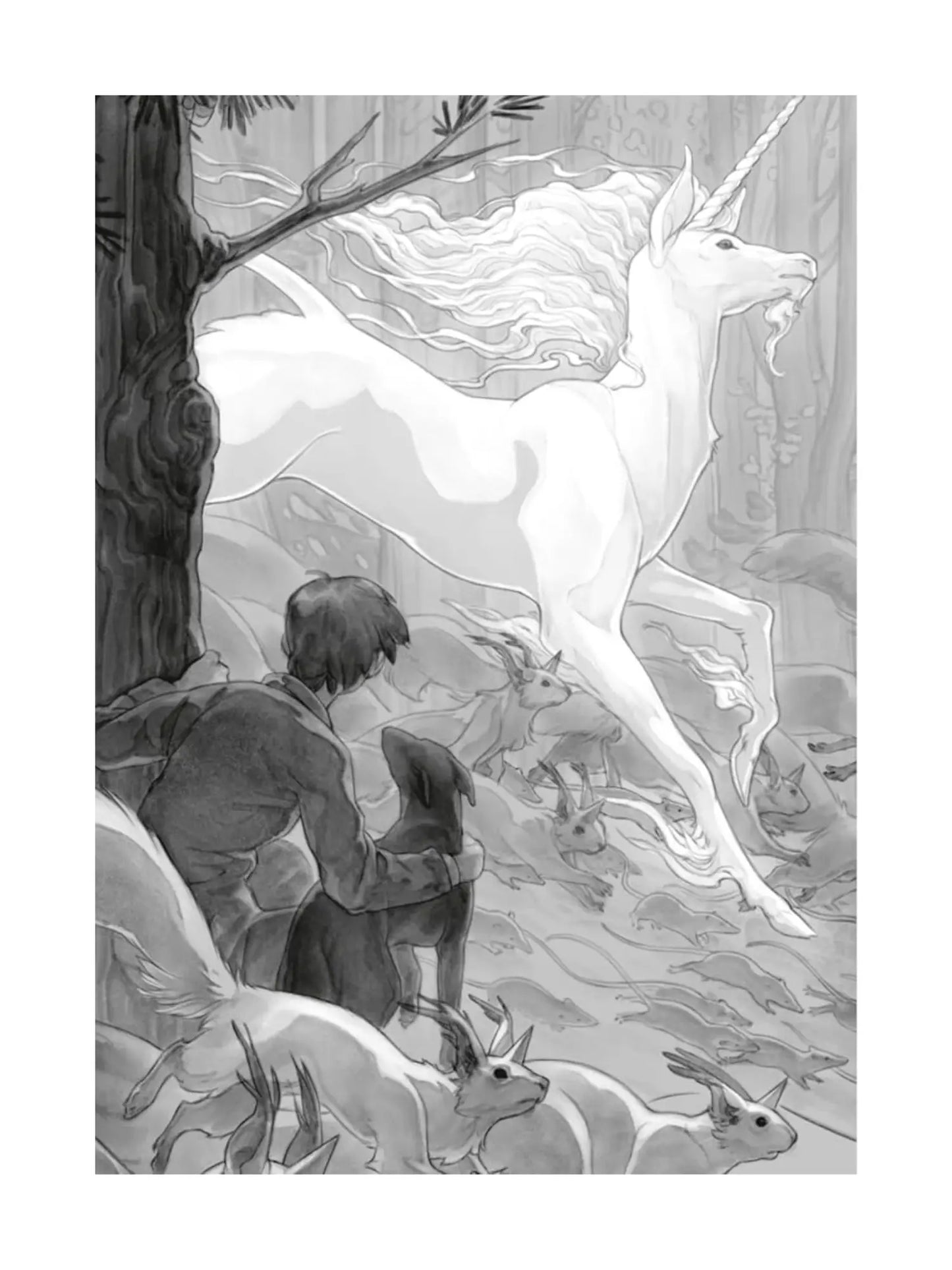 Impossible Creatures by Katherine Rundell, Book 1 - Alder & Alouette