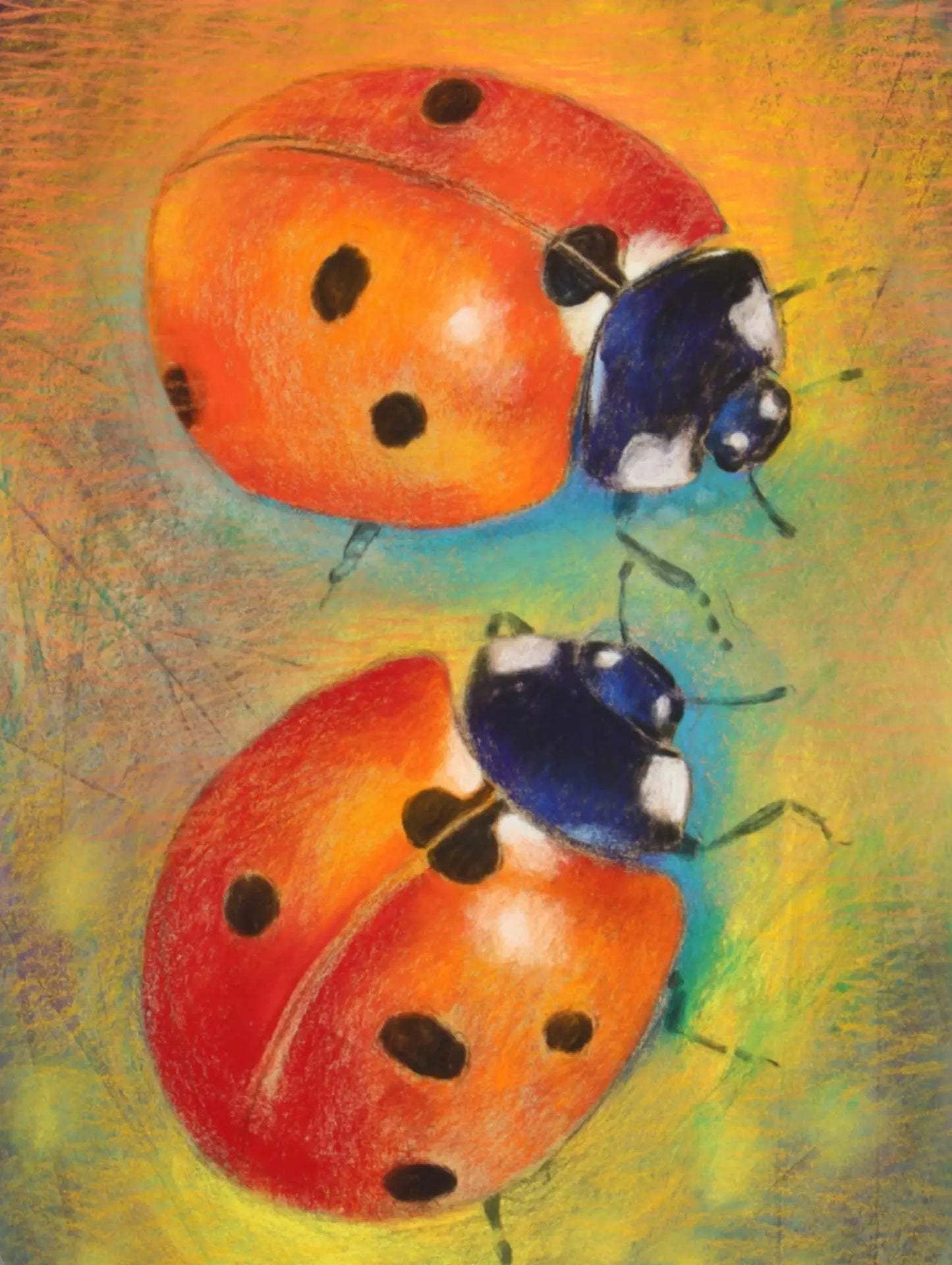 Two ladybugs on a colorful background