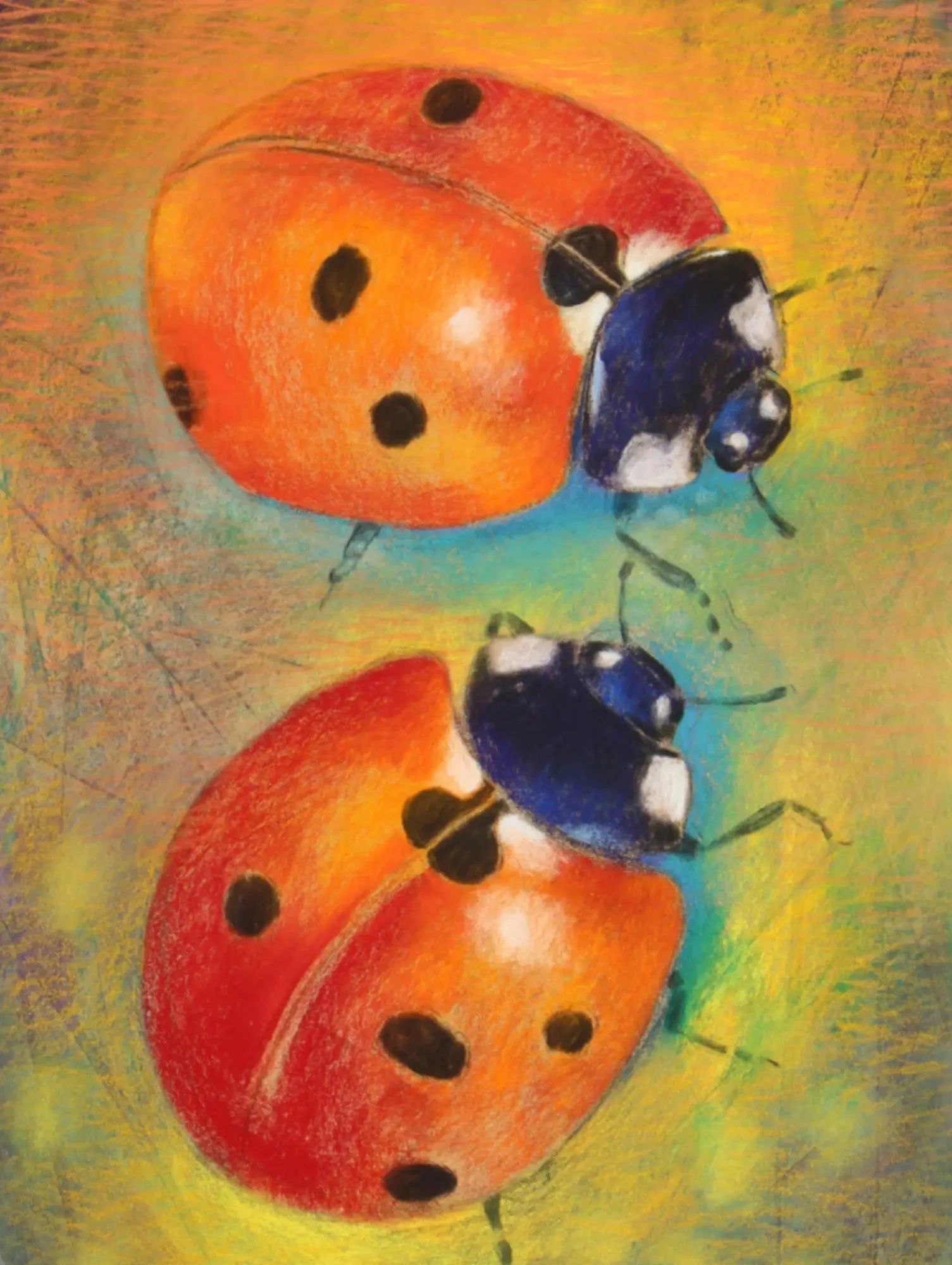 Two ladybugs on a colorful background