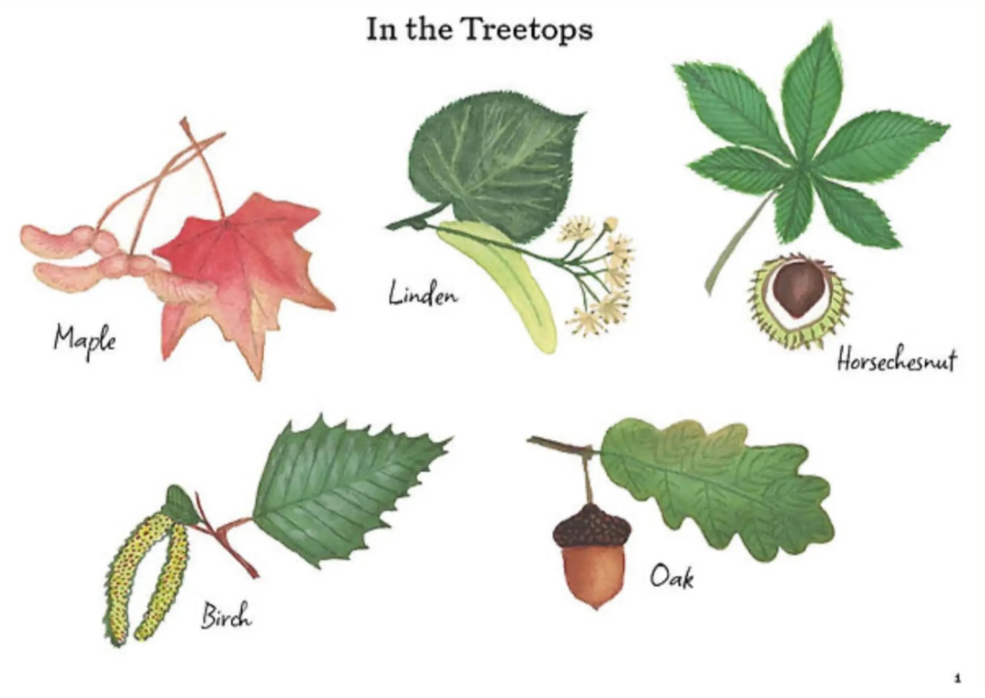 A Year and a Day – In the Treetops Issue | Waldorf Kids Magazine