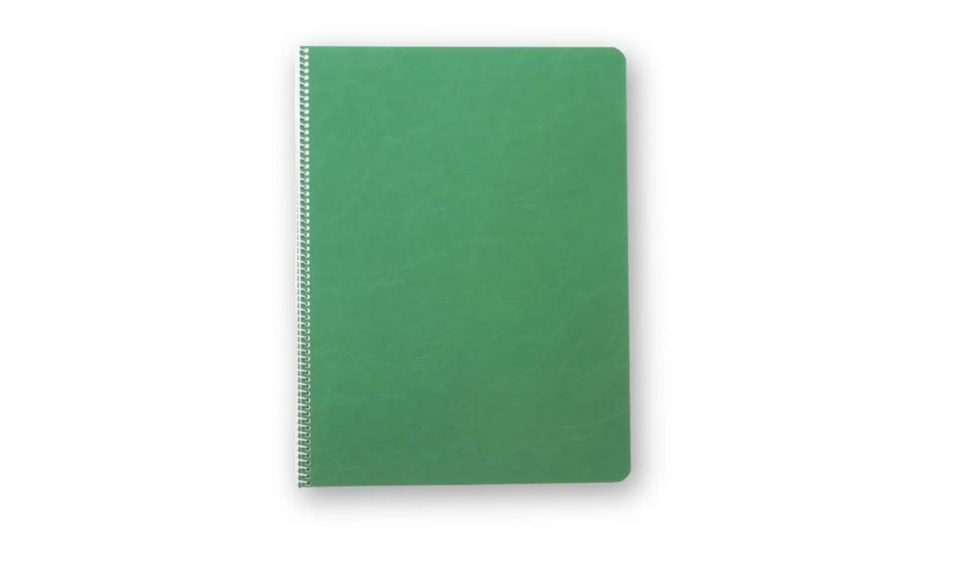 Green waldorf literacy plus main lesson book on a white background