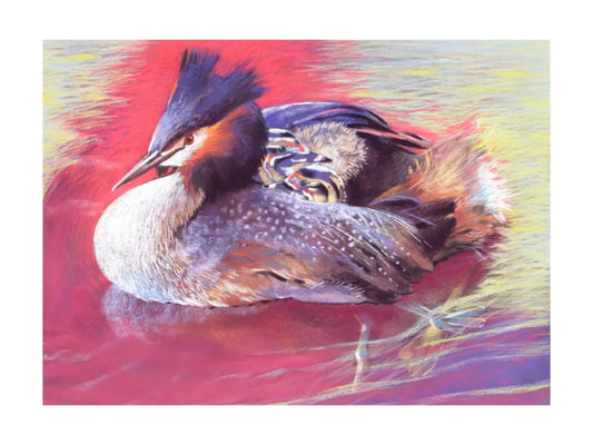 Painting of a mama grebe with babies on her back while swimming