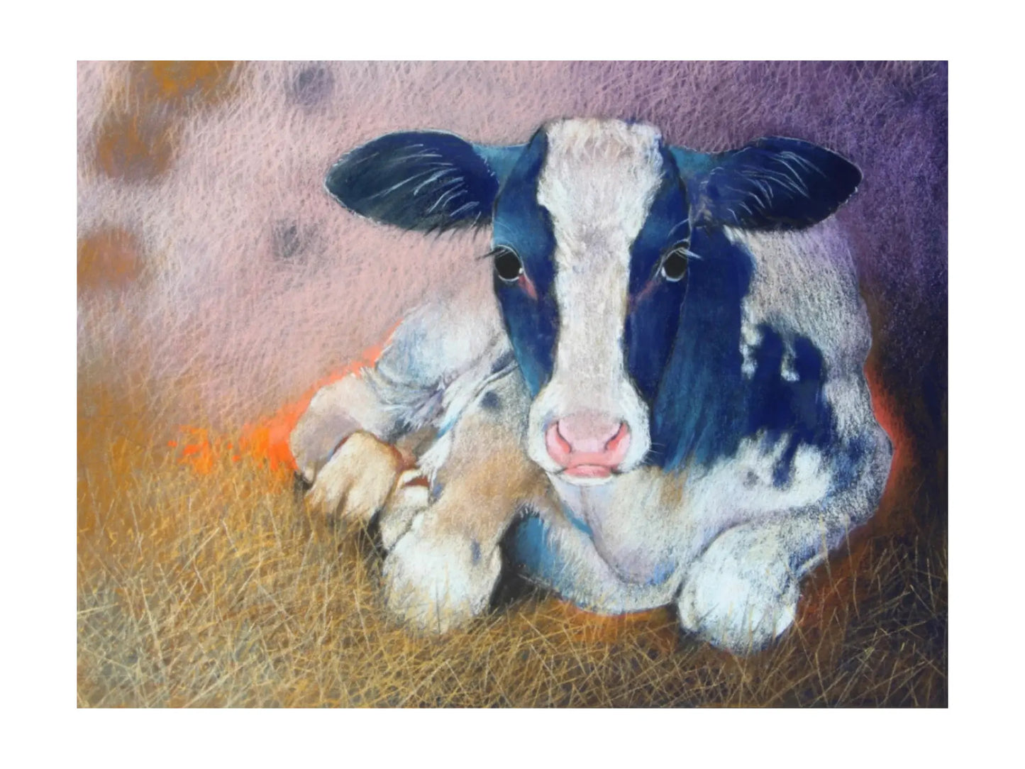 Loes Botman postcard of a black and white calf lying on hay with a colorful background