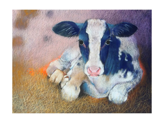 Loes Botman postcard of a black and white calf lying on hay with a colorful background