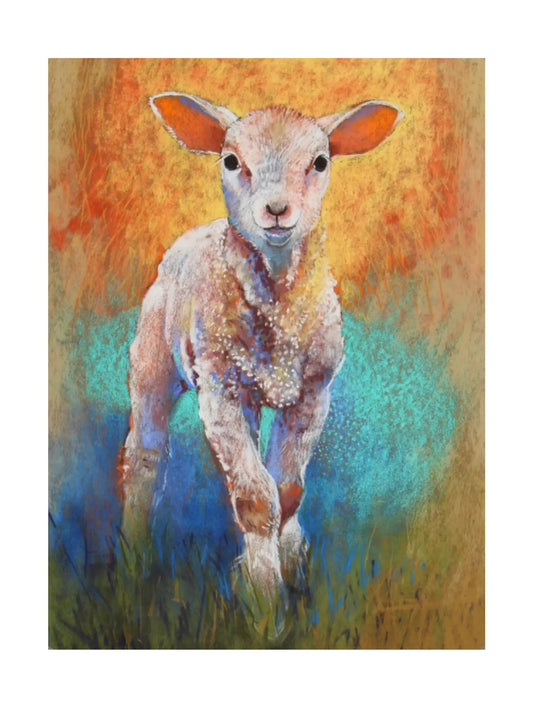 Colorful Loes Botman postcard of a lamb on a textured background