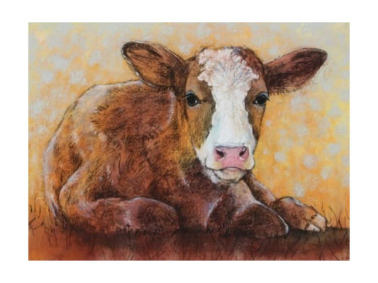 Farm Animal Postcard of a brown and white calf laying on the ground looking around