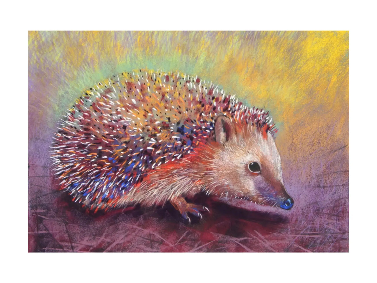 Colorful postcard of a hedgehog on a textured background