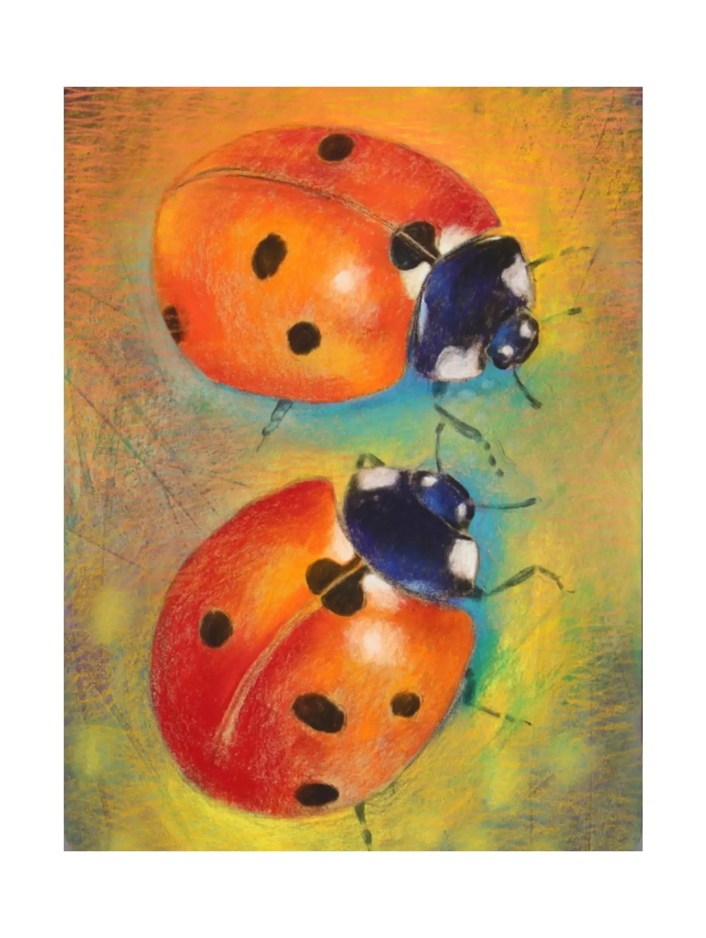 Two colorful ladybugs on a textured background