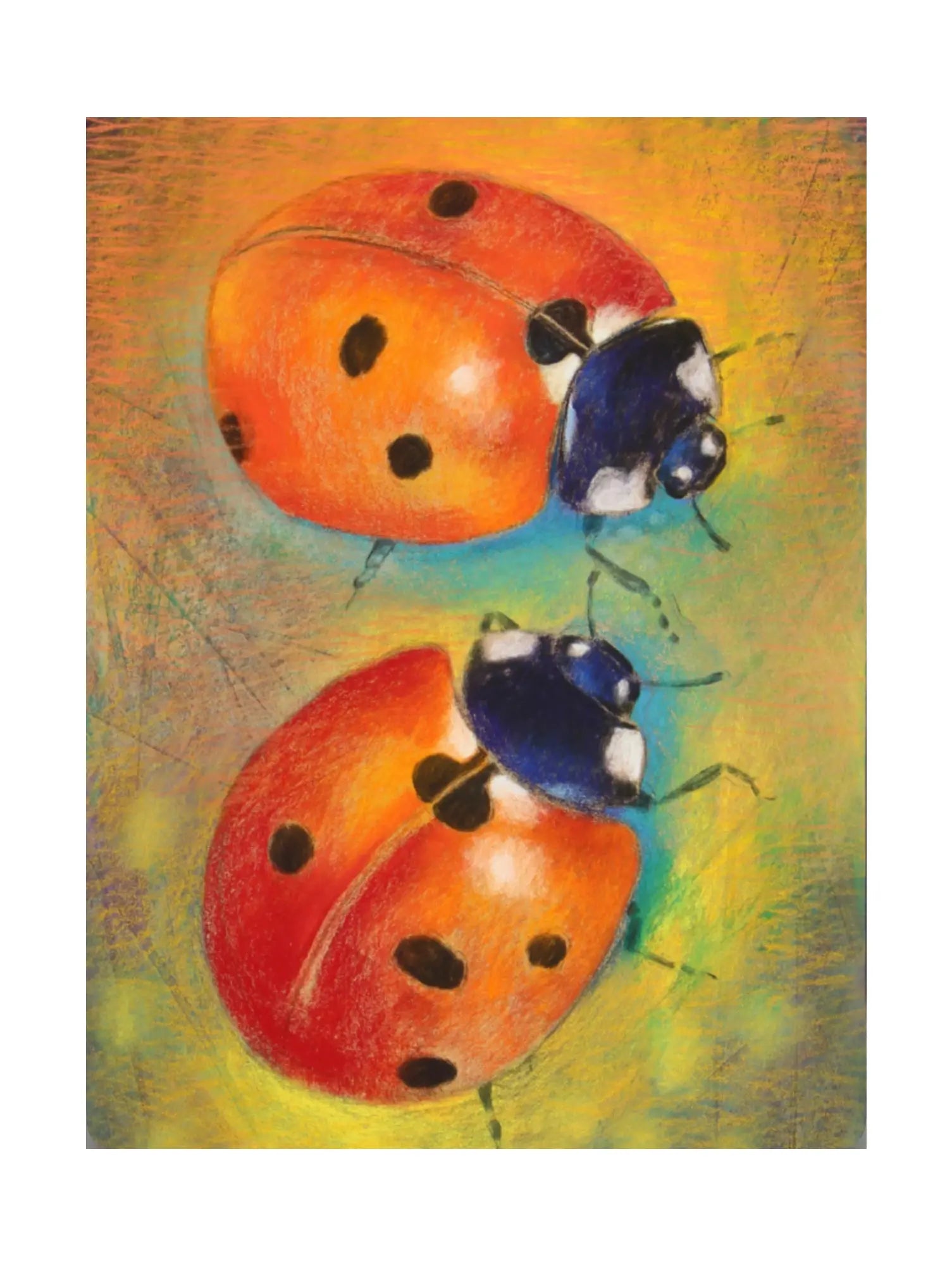 Two colorful ladybugs on a textured background