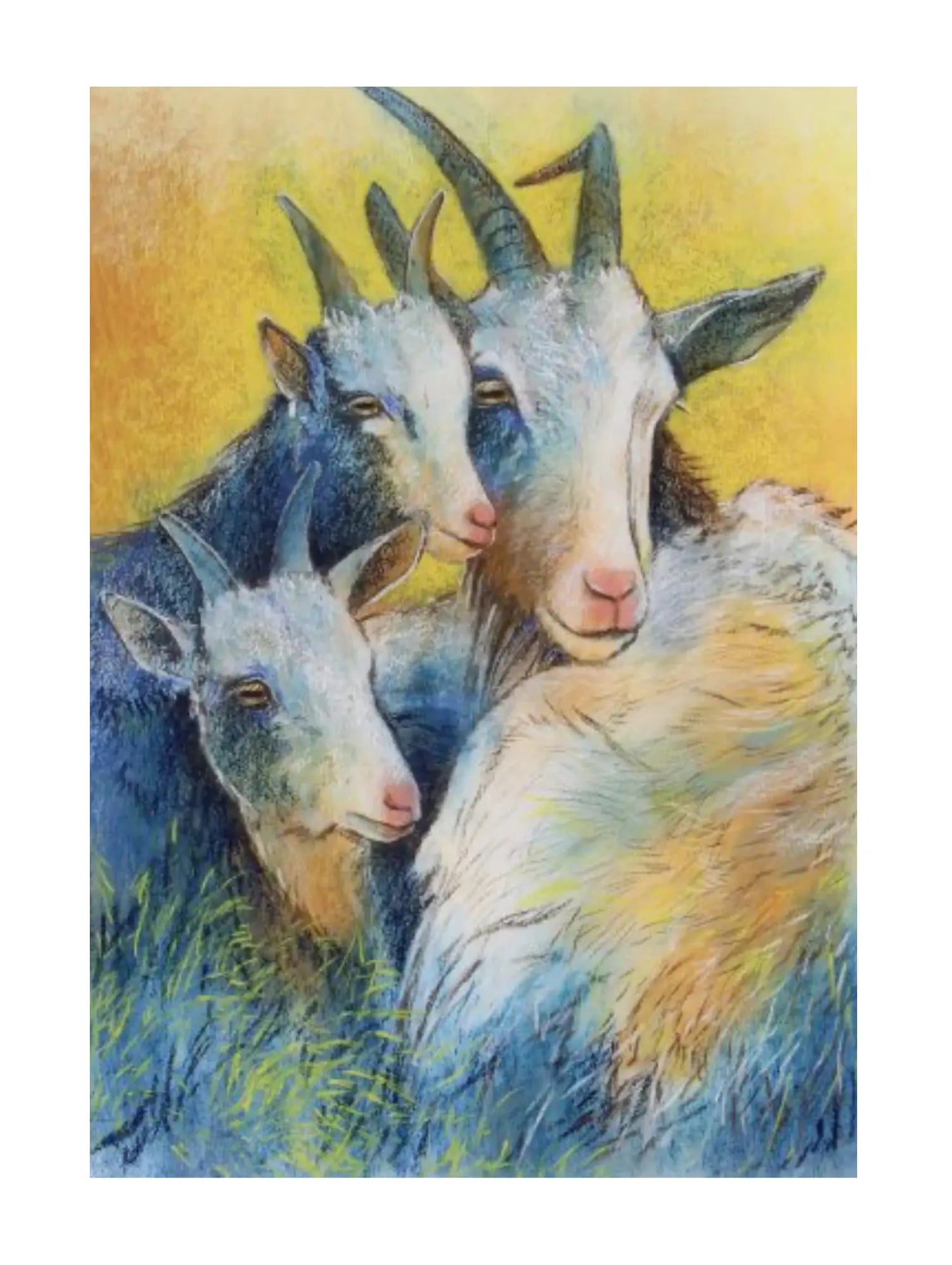 Postcard of three goats looking in same direction with a colorful background 