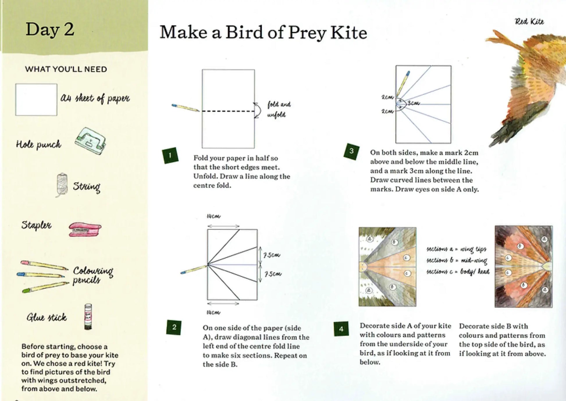 A Year and a Day – Flight Issue | Waldorf Children's Magazine