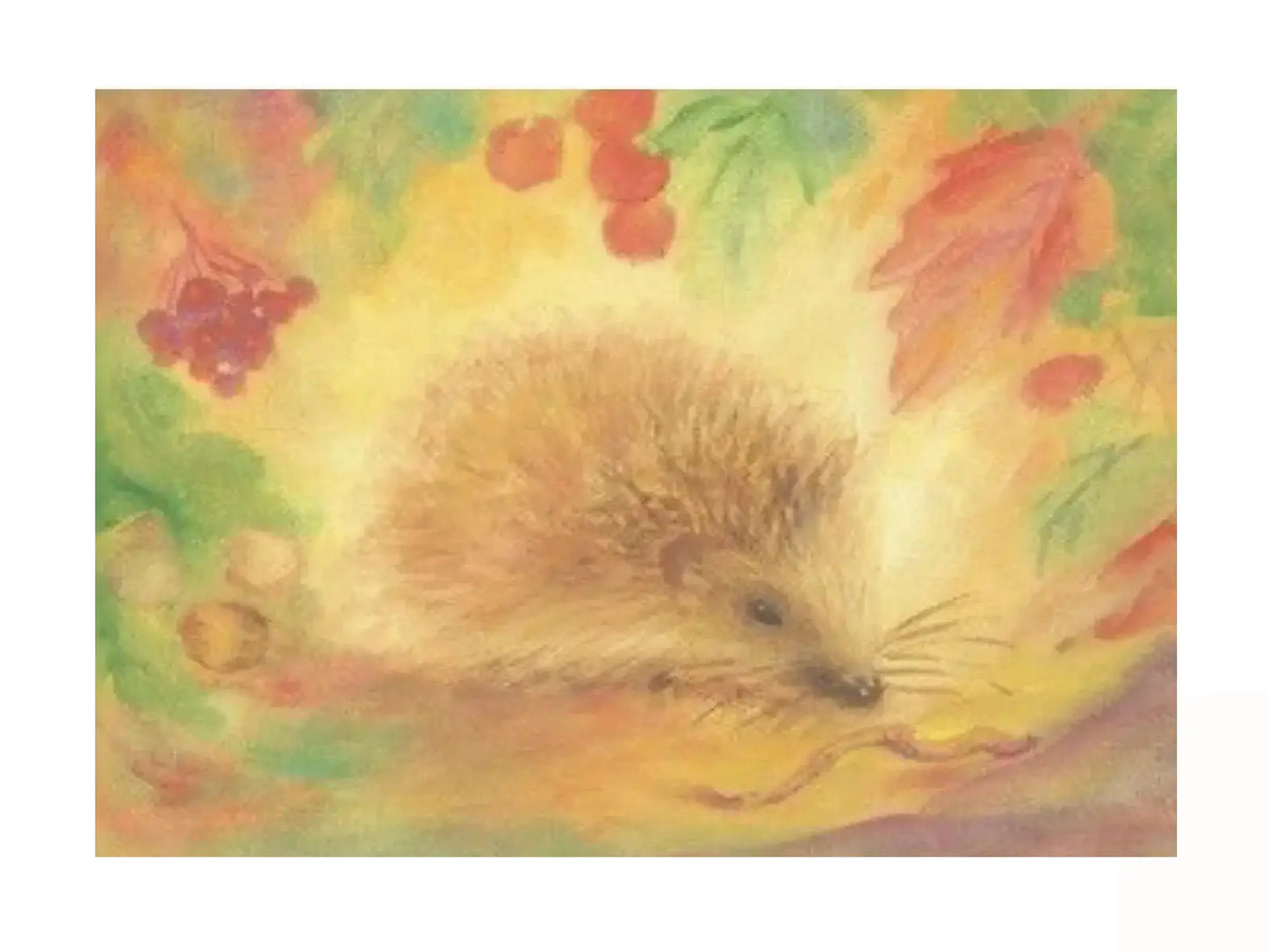 Illustration of a hedgehog with a colorful background