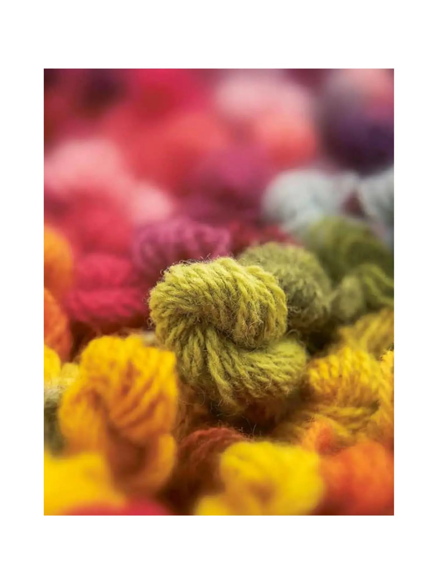 Natural Yarn Dyes: Vibrant Dye Recipes for Yarn - Alder & Alouette
