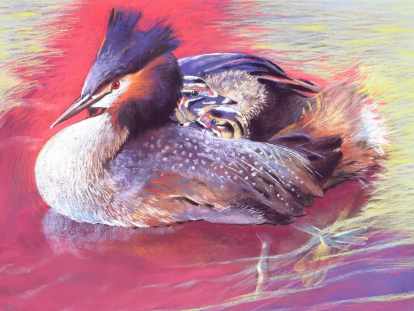 Colorful painting of a grebe on water with her babies on her back with a vibrant background