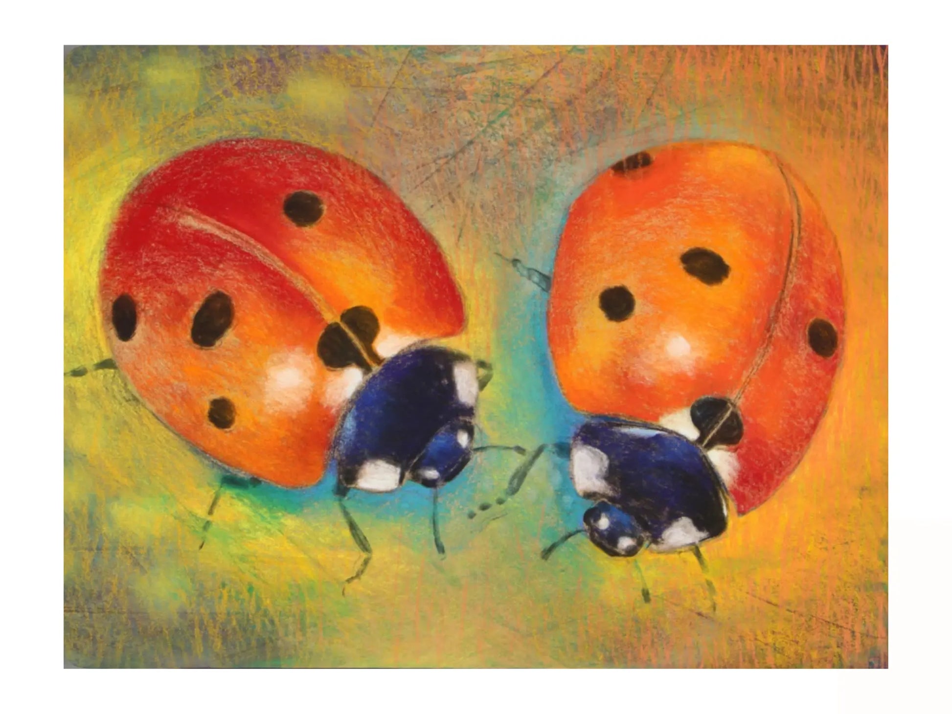 Two ladybugs on a colorful background postcard
