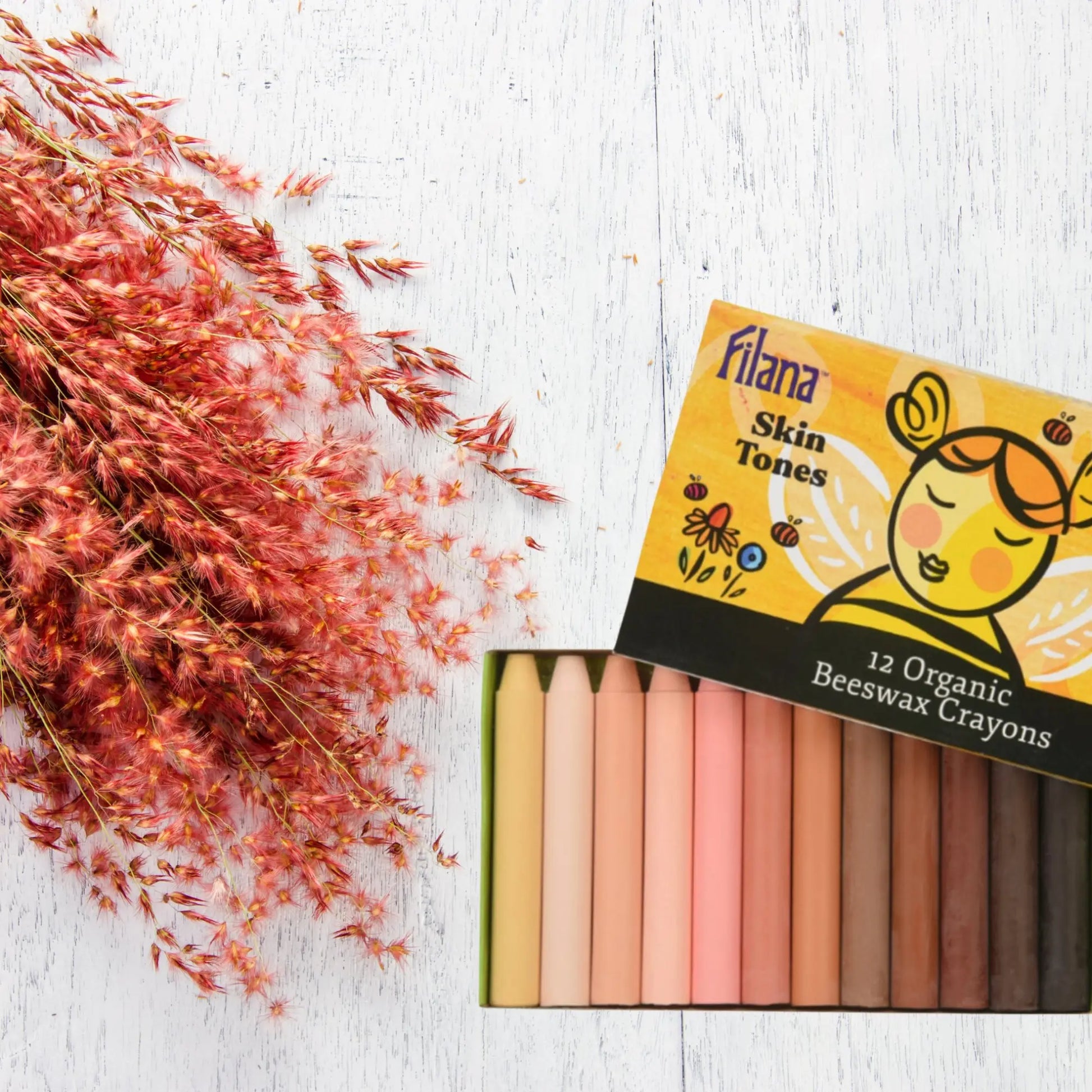 Box of Filana Skin Tones organic beeswax crayons with dried flowers on a white wooden surface