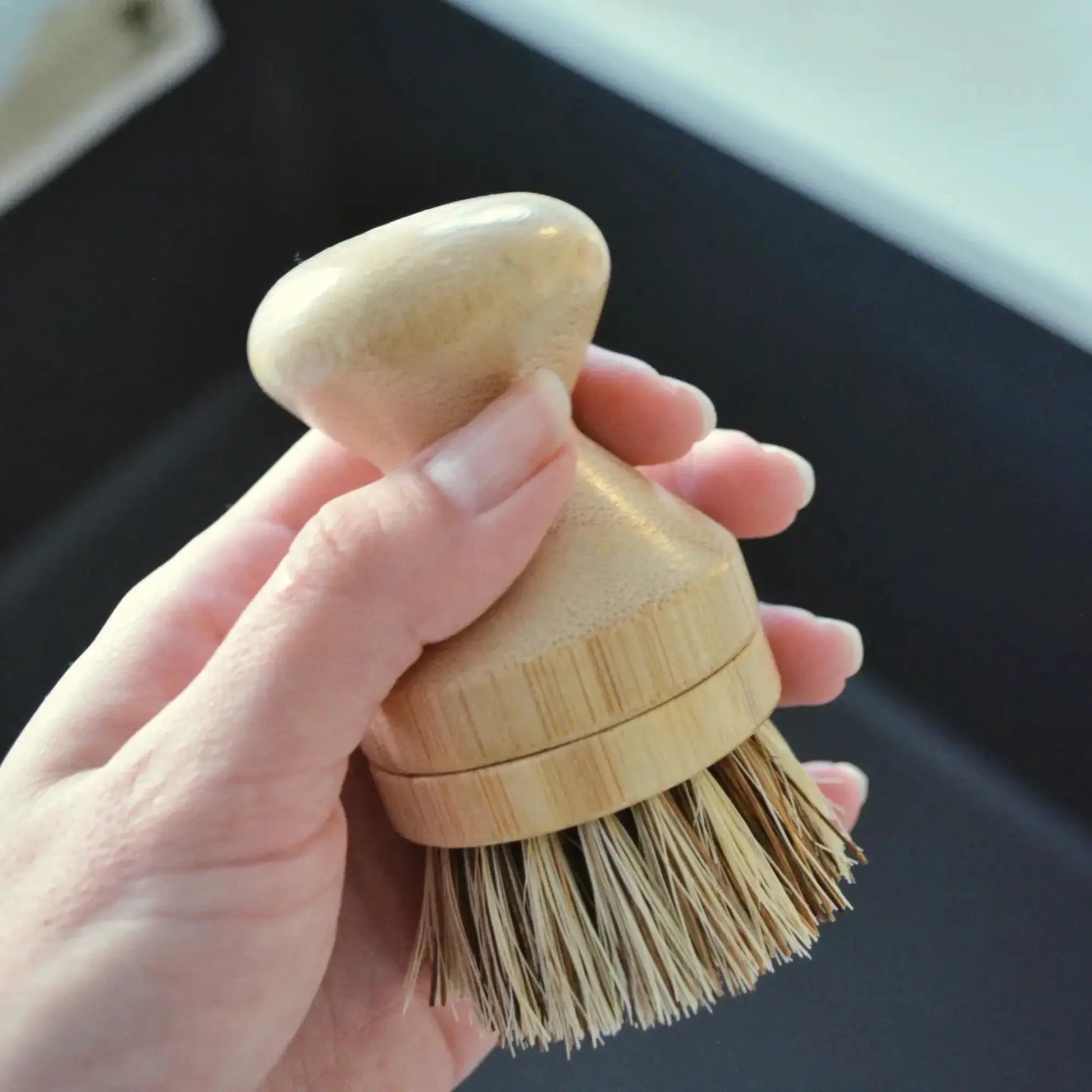 Hand holding a wooden dish brush with bristles against a blurred background
