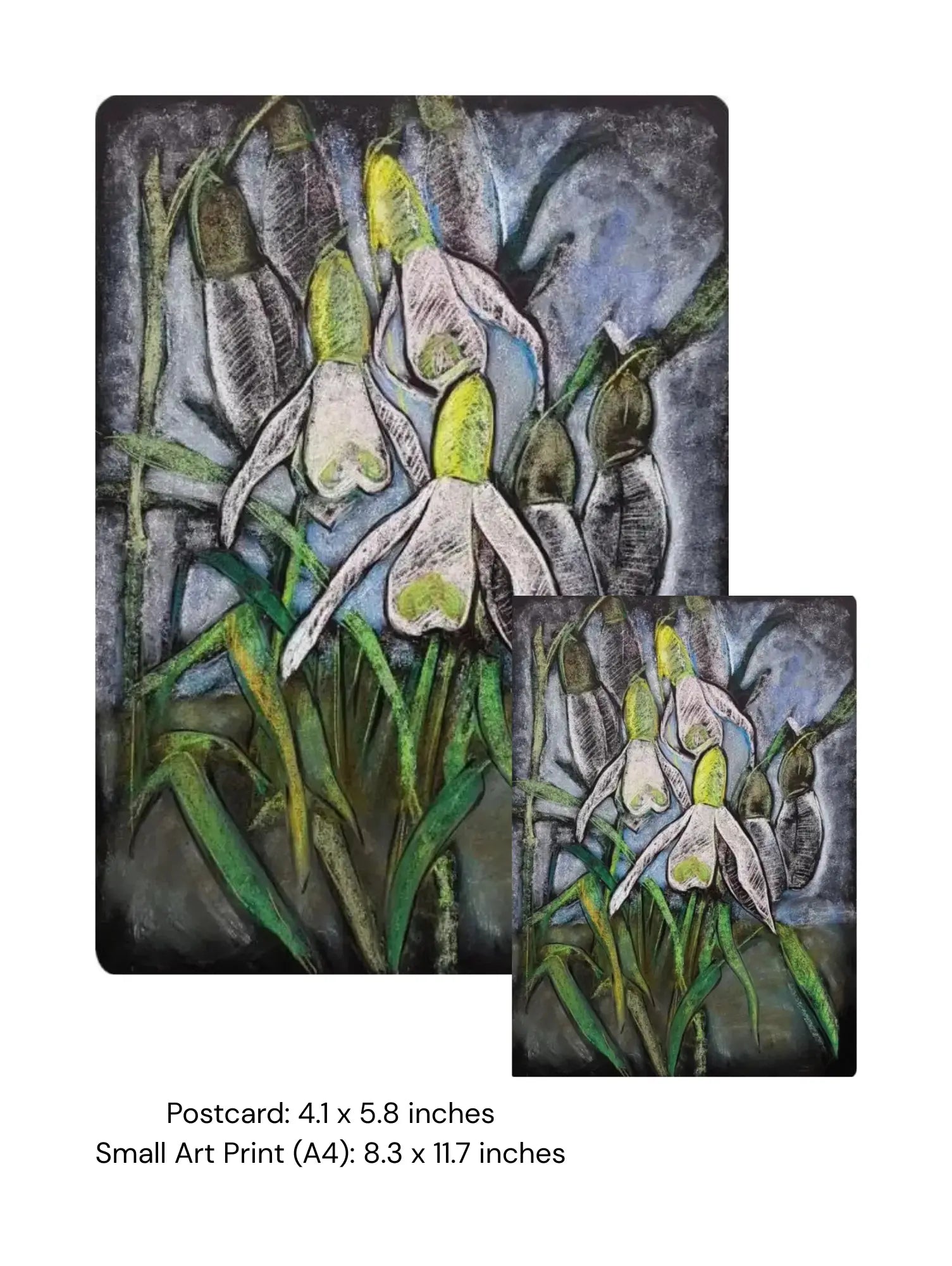 Art print of snowdrop flowers with green and gray tones on a white background