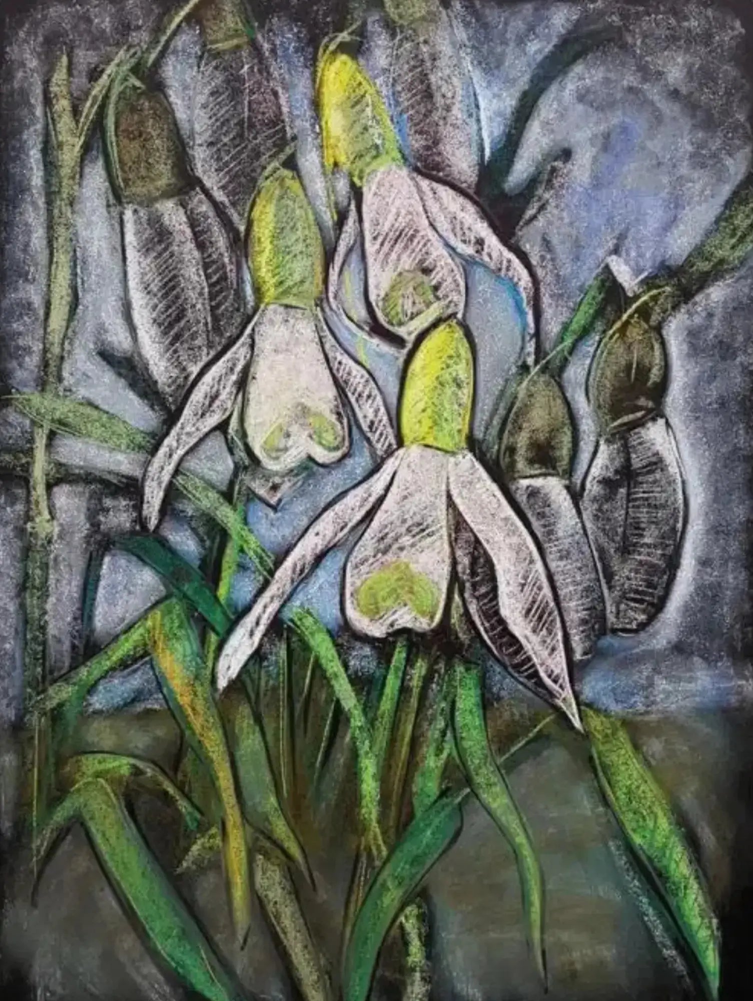 Artistic depiction of snowdrop flowers with a textured background