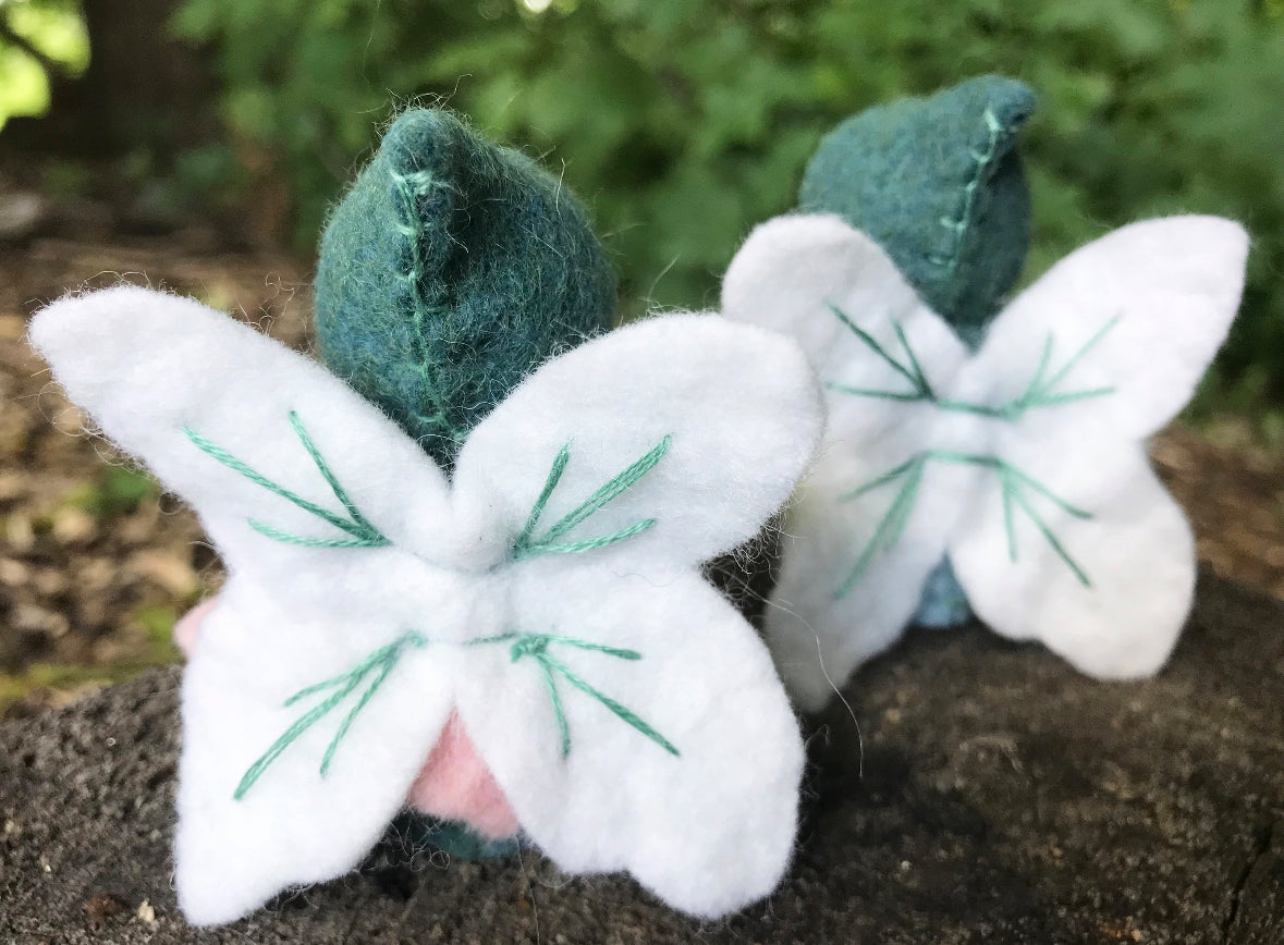 Peg Doll Craft Kit for King and Knights - Alder & Alouette